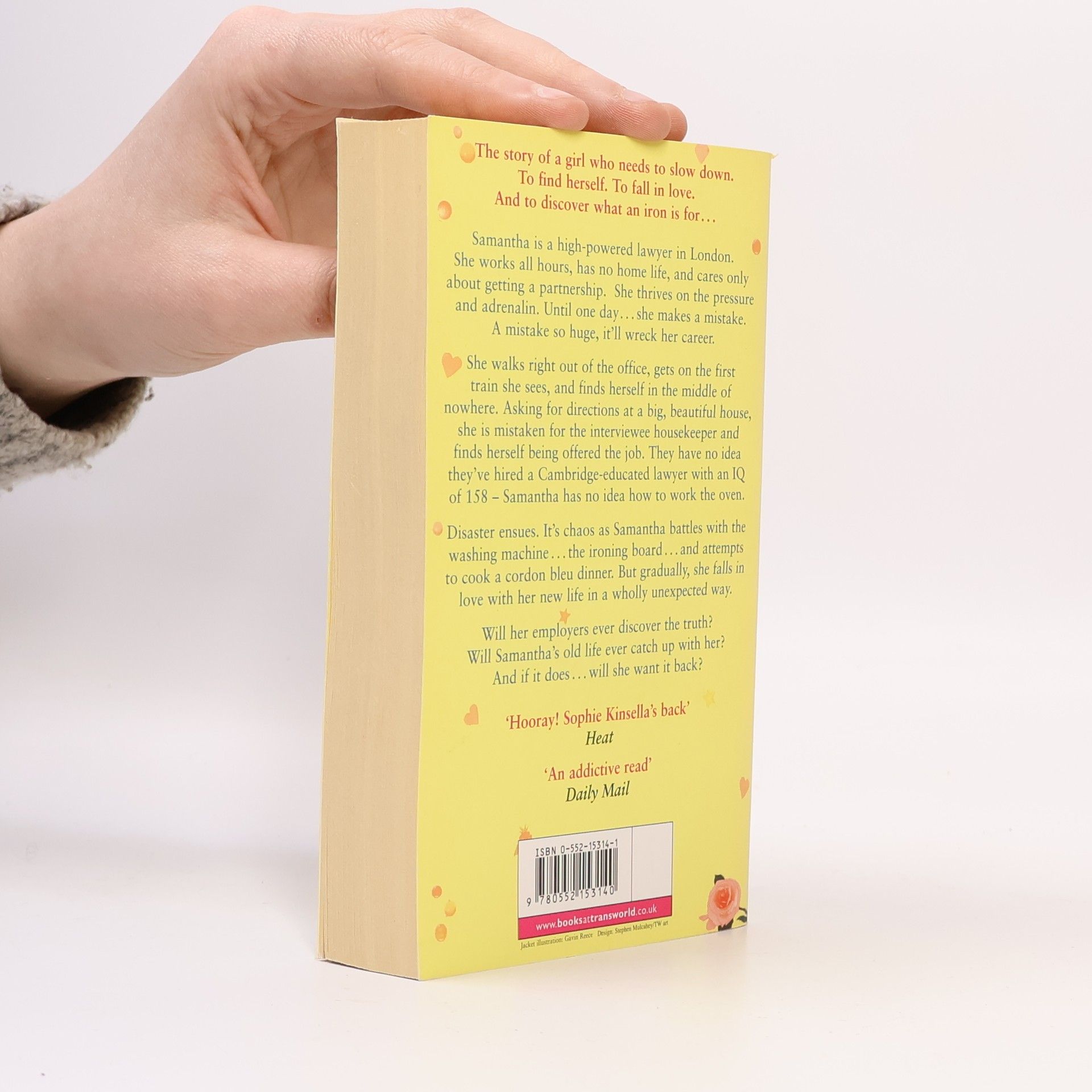 Sophie Kinsella The Undomestic Goddess