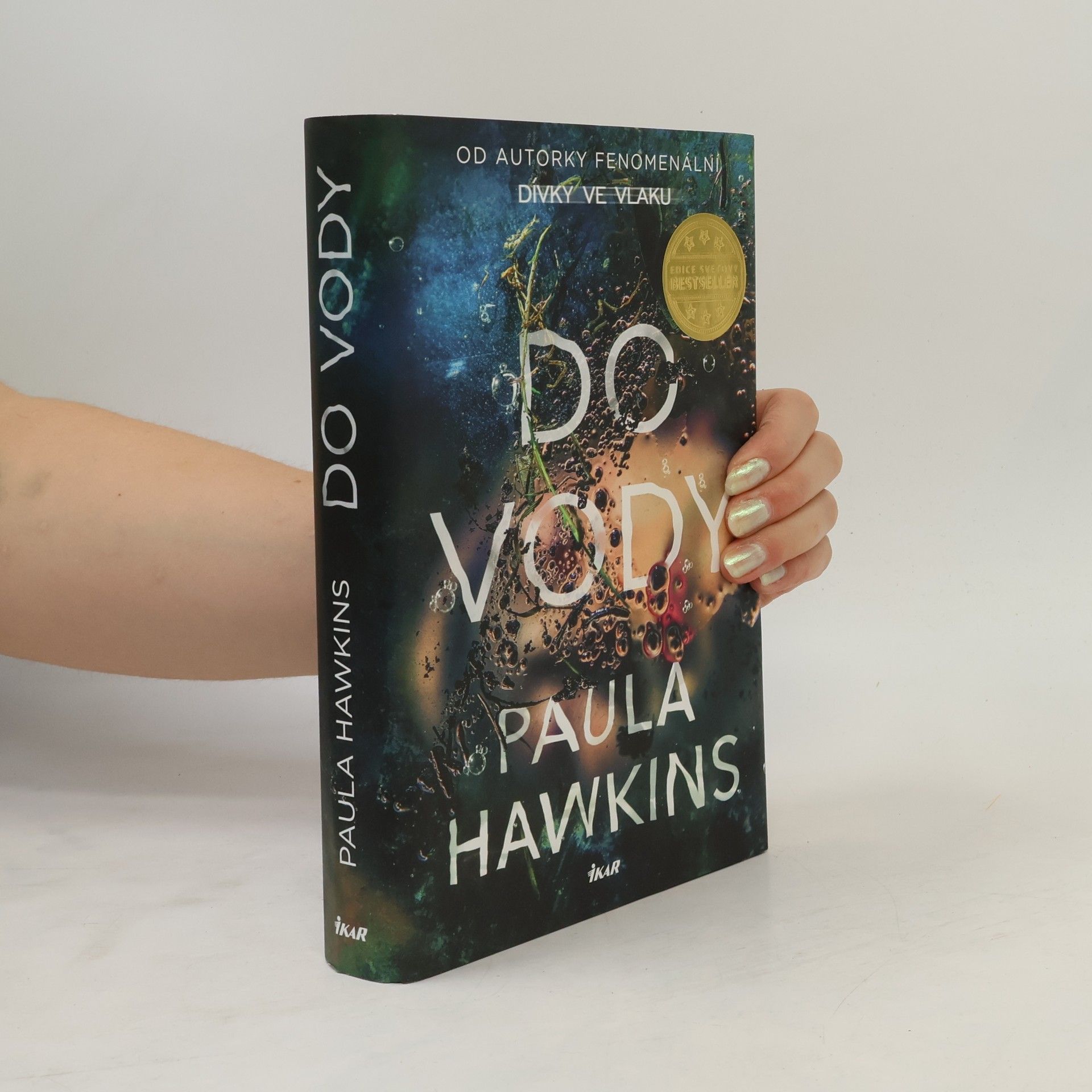 Paula Hawkins Do vody