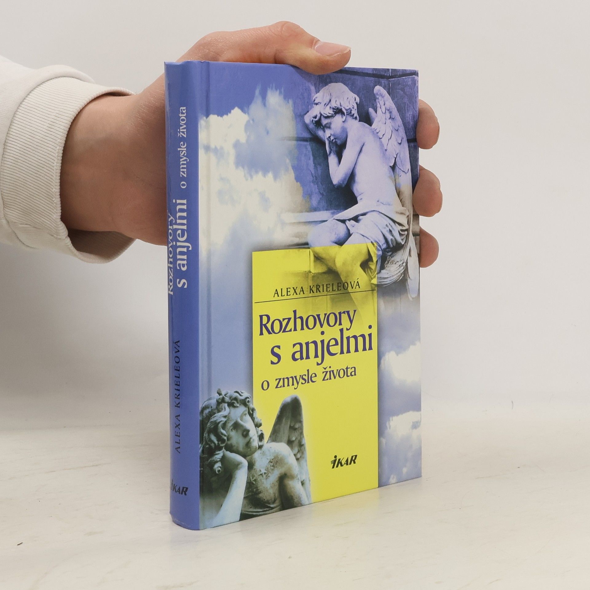 Rozhovory s anjelmi o zmysle života