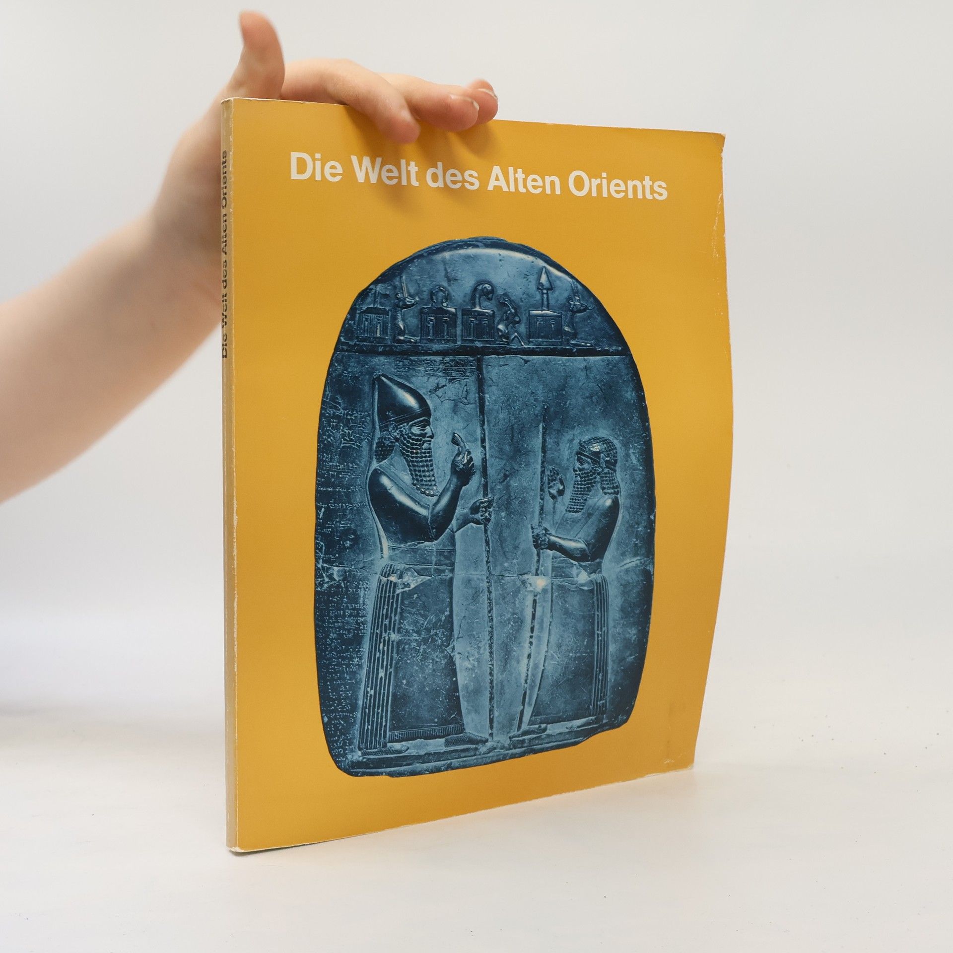 Kolektiv autorů Die Welt des Alten Orients