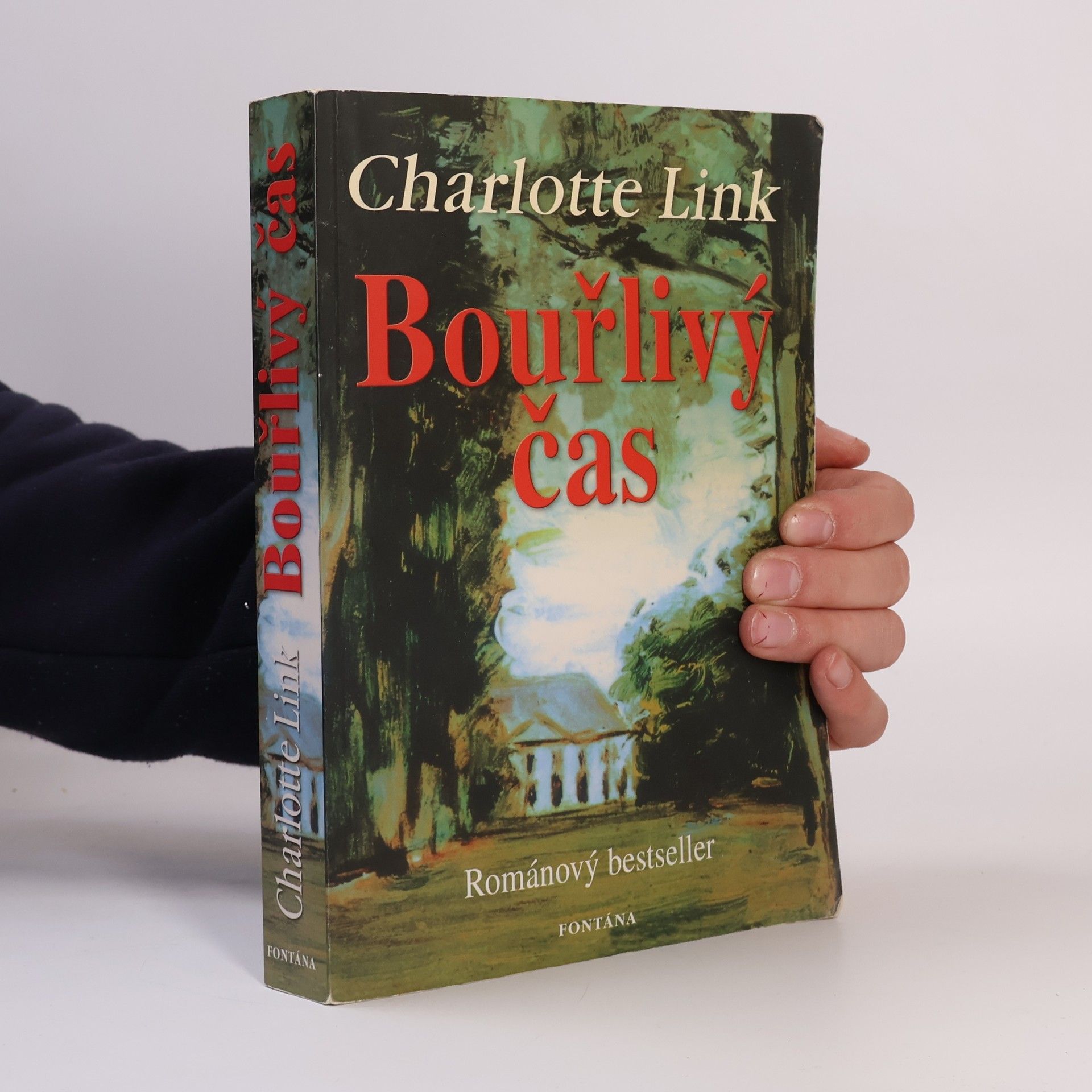 Charlotte Link Bouřlivý čas