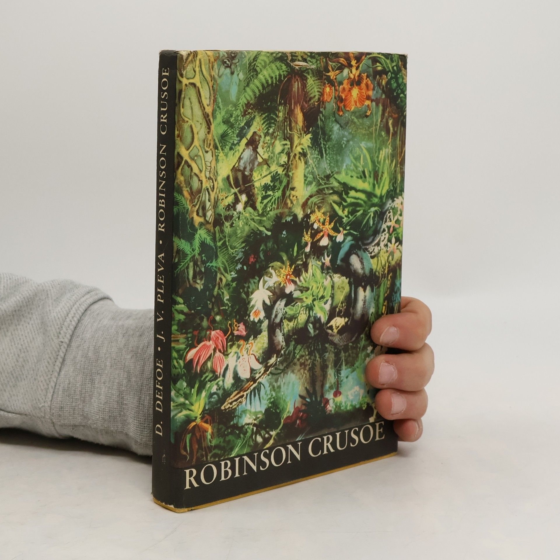 Daniel Defoe Robinson Crusoe