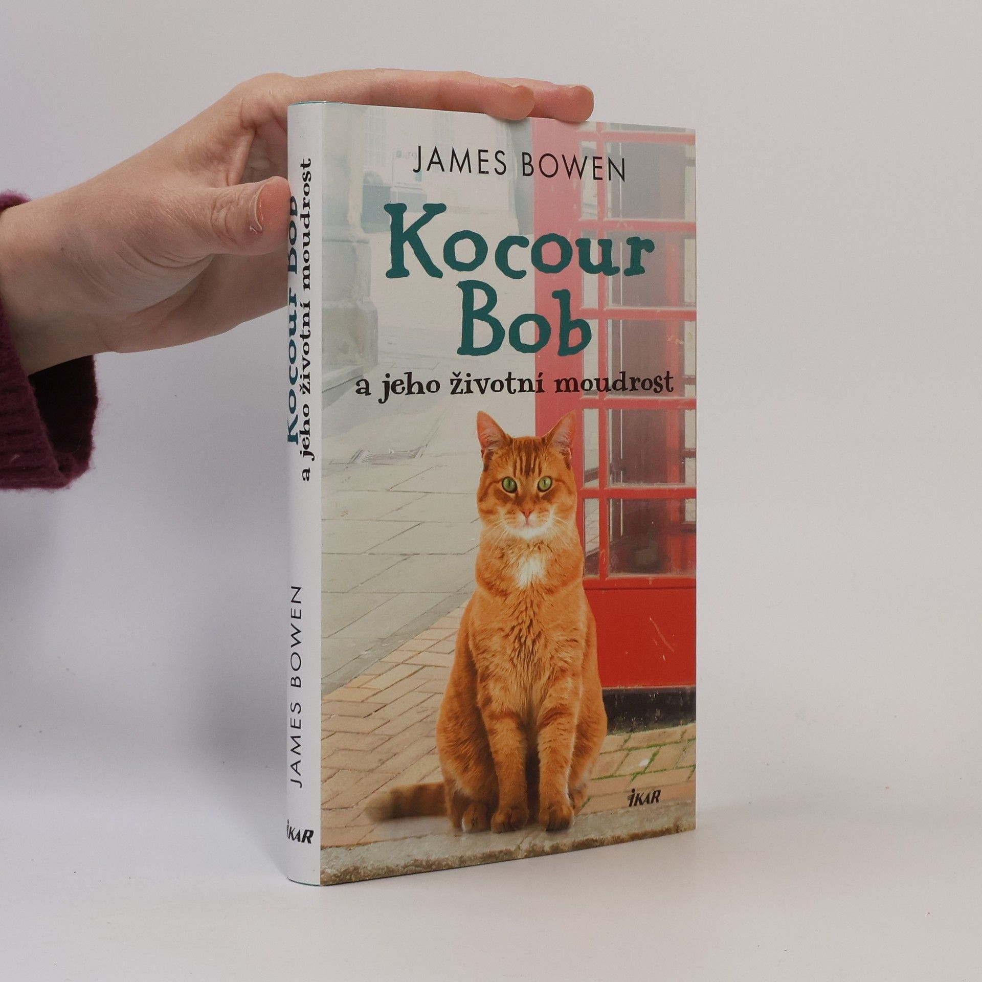 James Bowen Kocour Bob a jeho životní moudrost