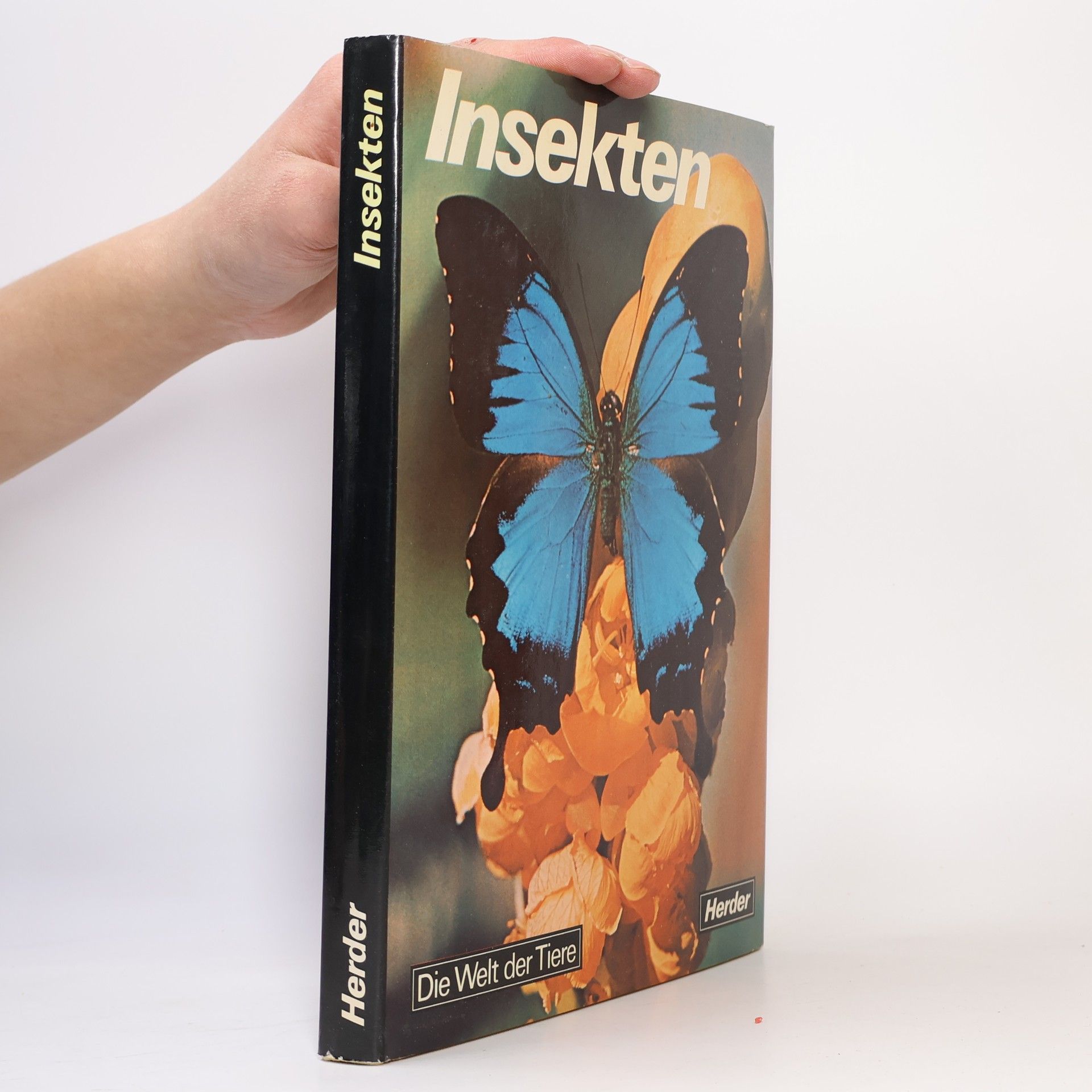 Riccardo Sciaky Insekten