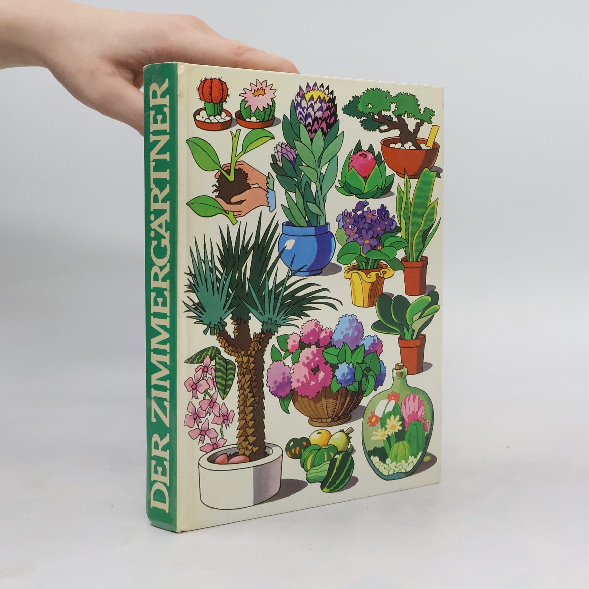 Kolektív autorov Der Zimmergärtner