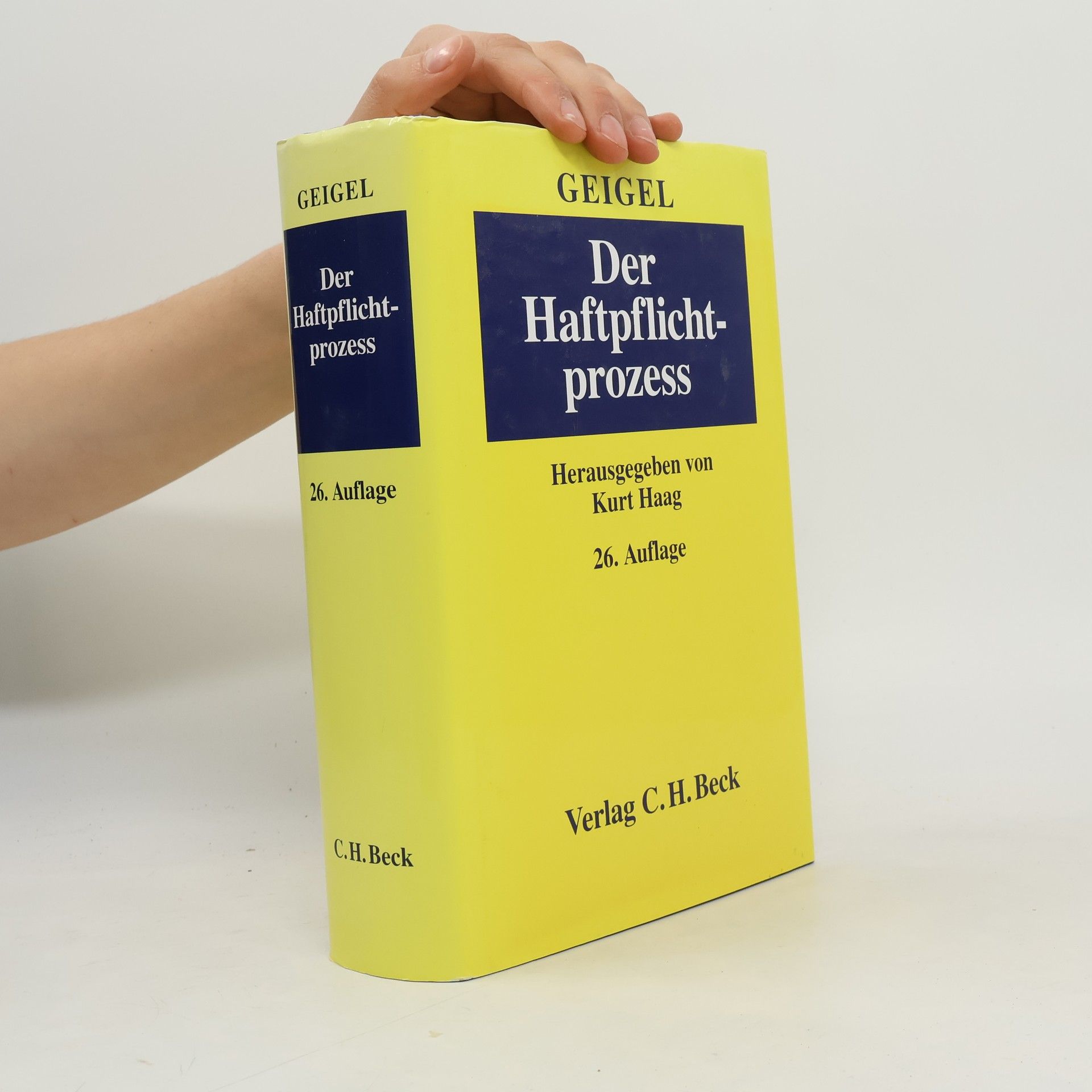 Der Haftpflichtprozess