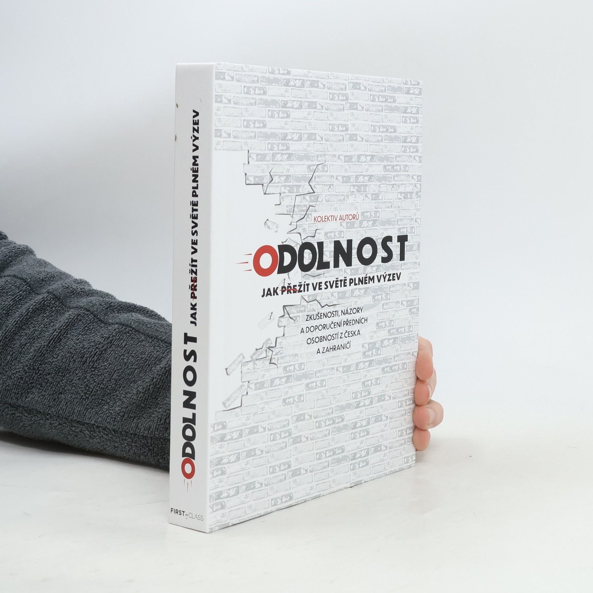 Kolektiv autorů Odolnost