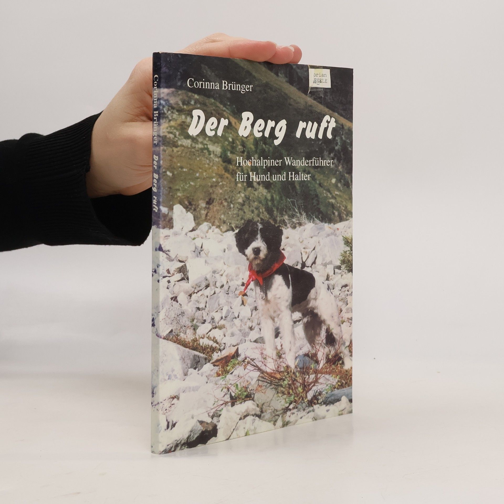 Corinna Brünger Der Berg ruft