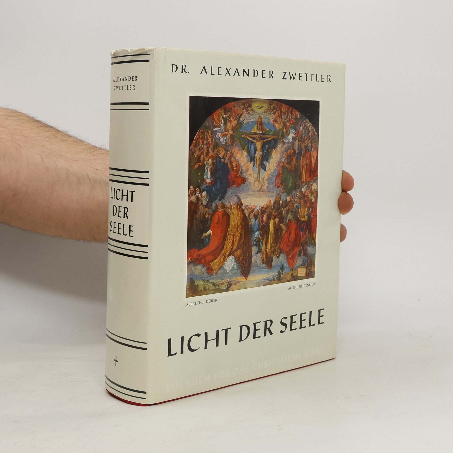 Alexander Zwettler Licht der Seele