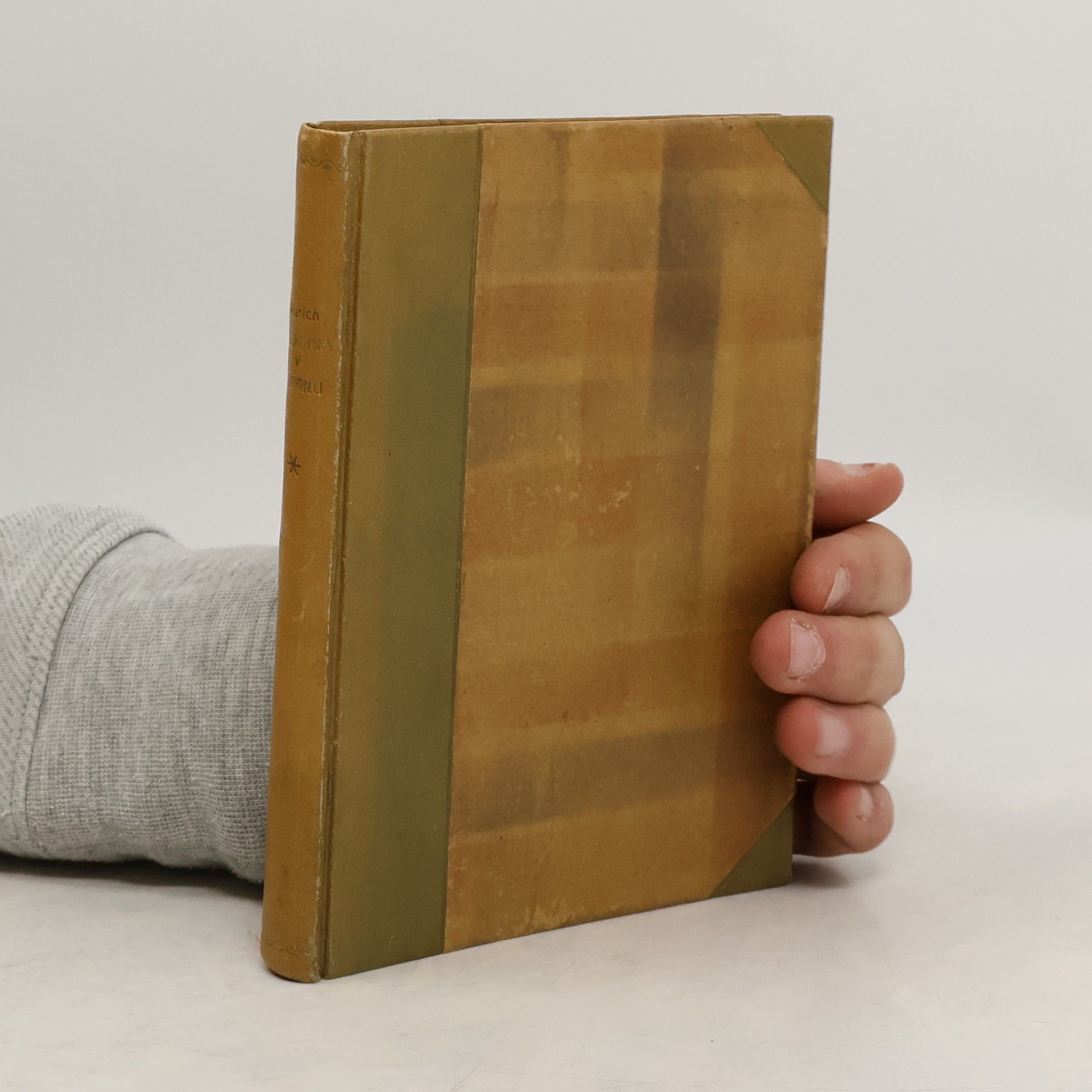 Alarich Medicina v županu