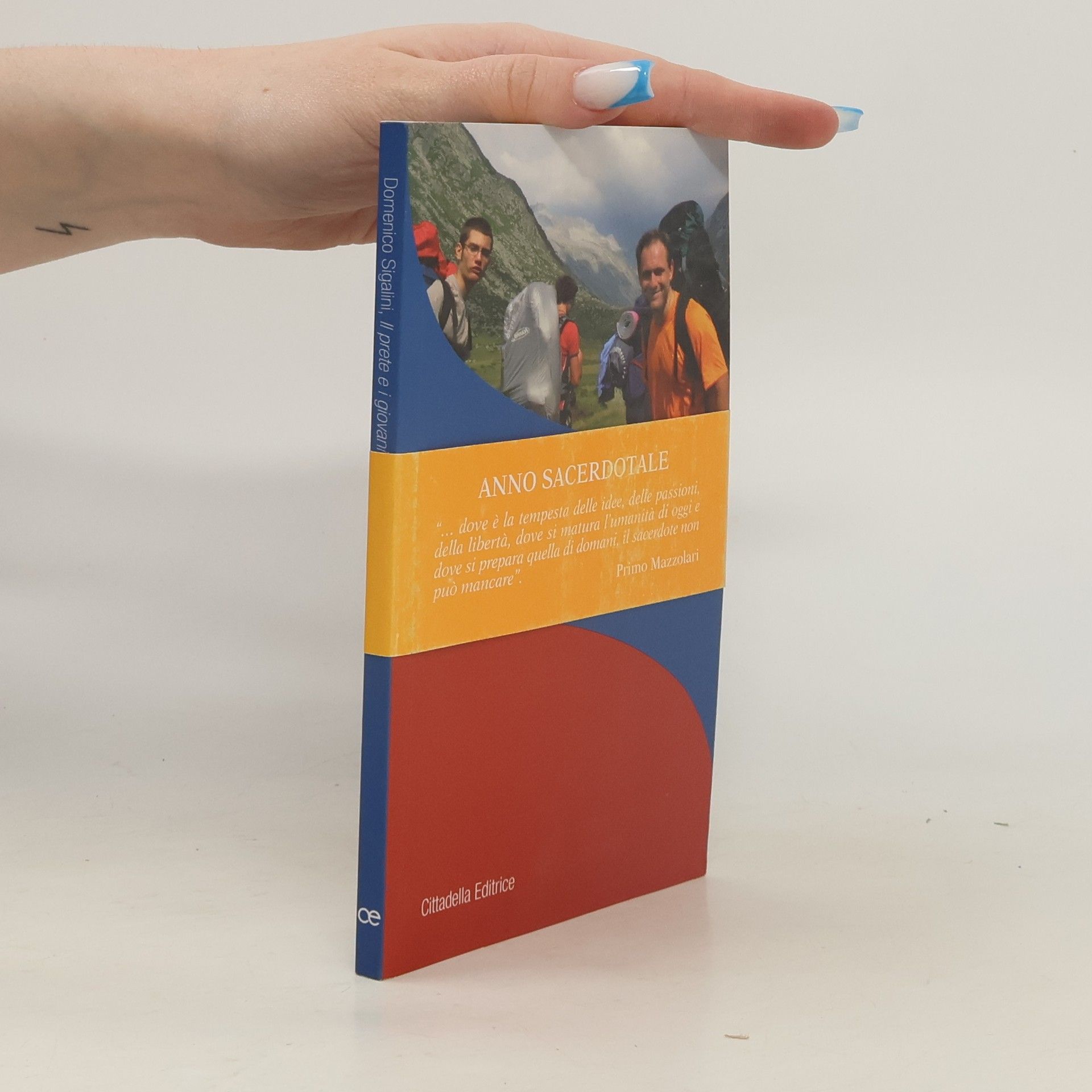 Domenico Sigalini Il prete e i giovani. La compagnia della fede