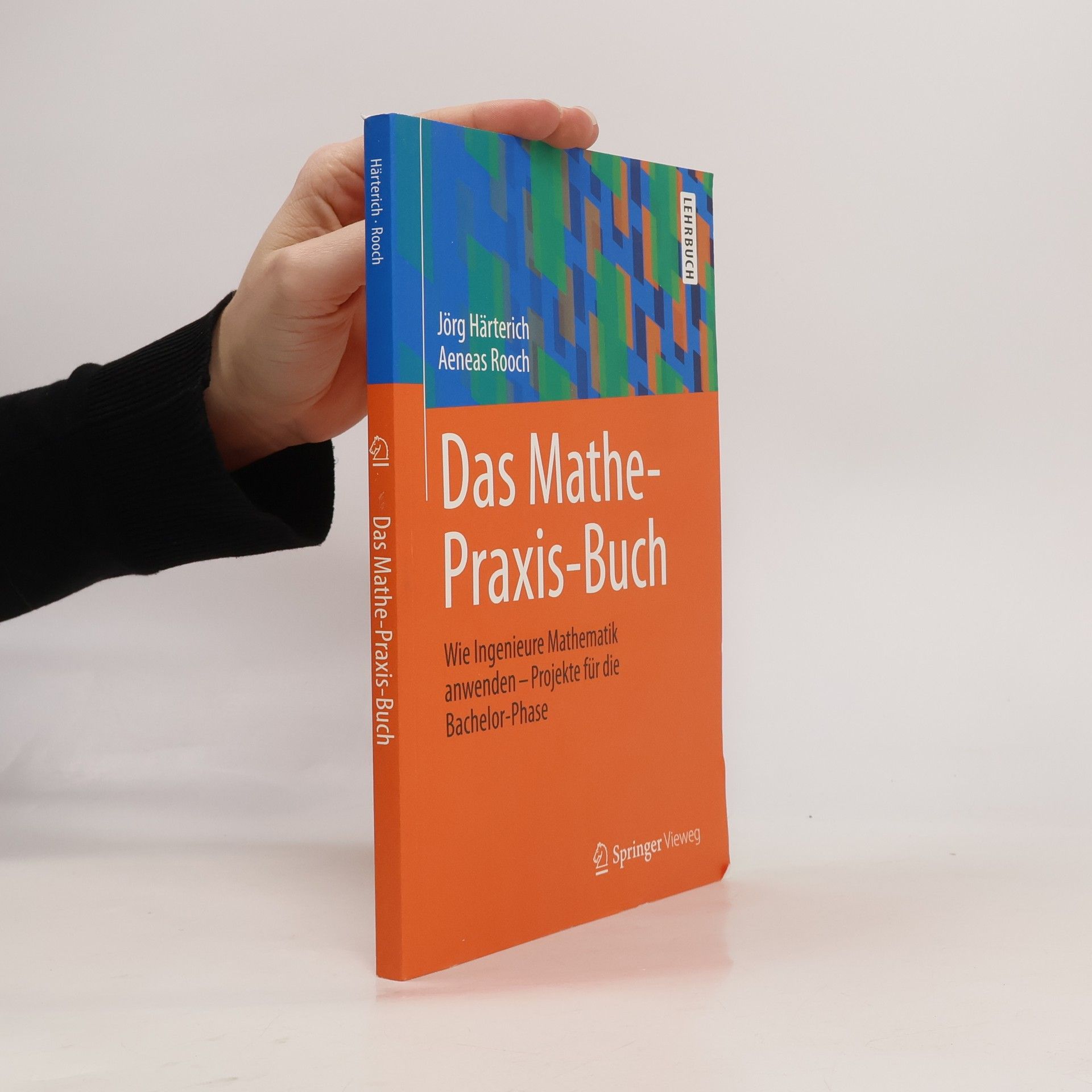 Jörg Härterich Das Mathe-Praxis-Buch