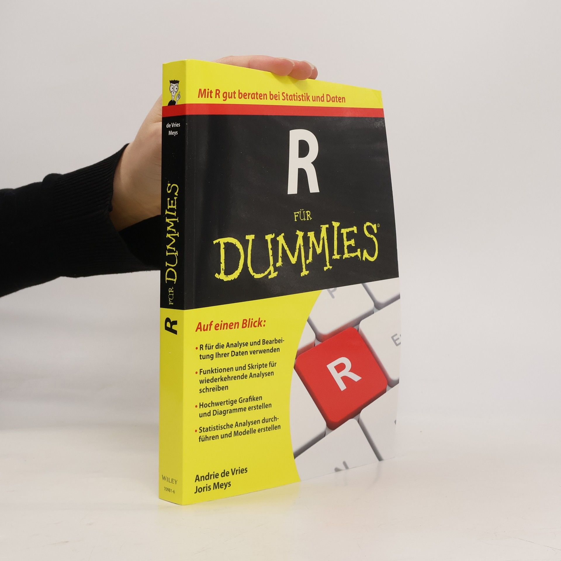 Andrie De Vries R für Dummies