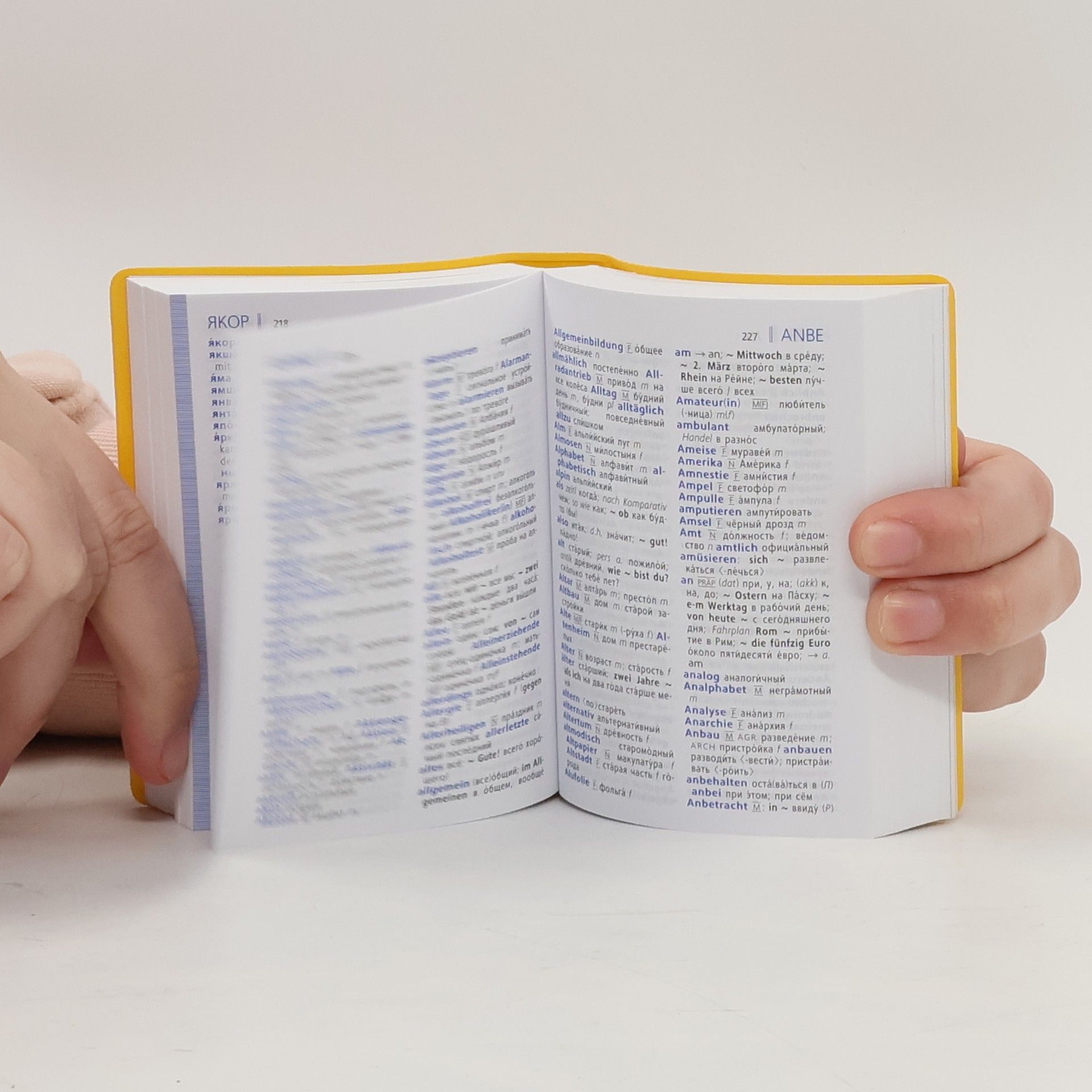 Autores varios Langenscheidt Universal-Wörterbuch Russisch