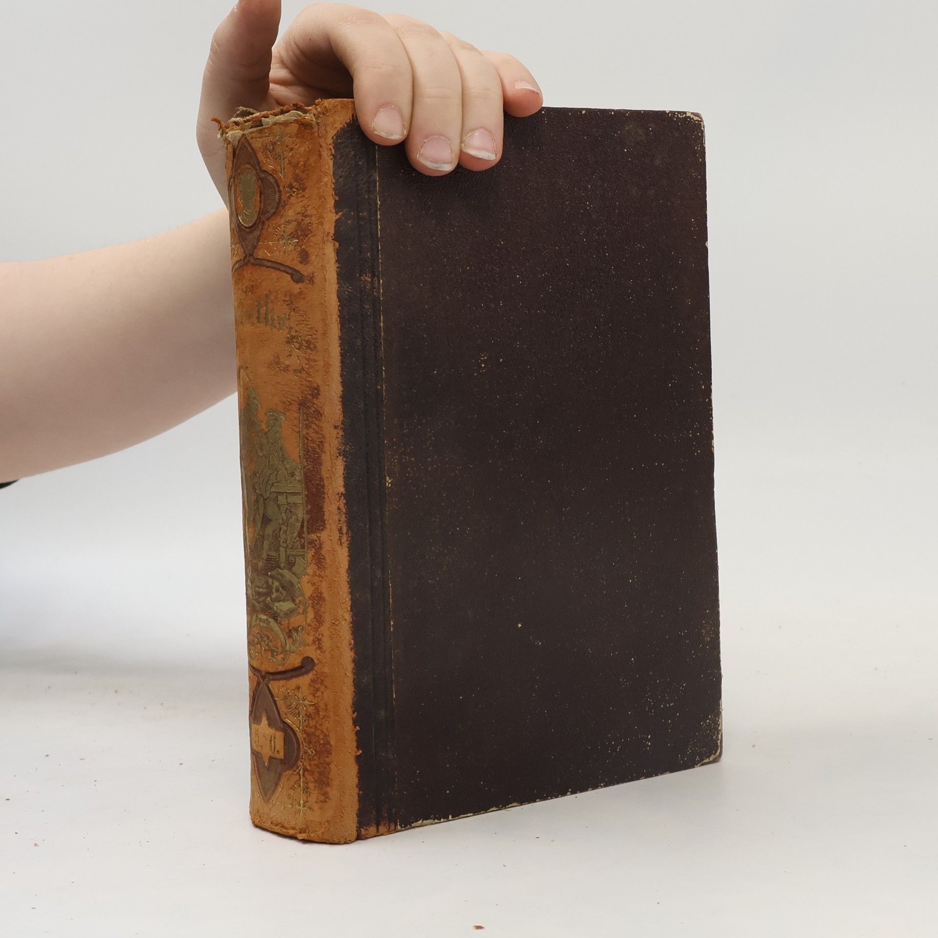 Johann Wolfgang von Goethe Ausgewählte Werke. Band 5