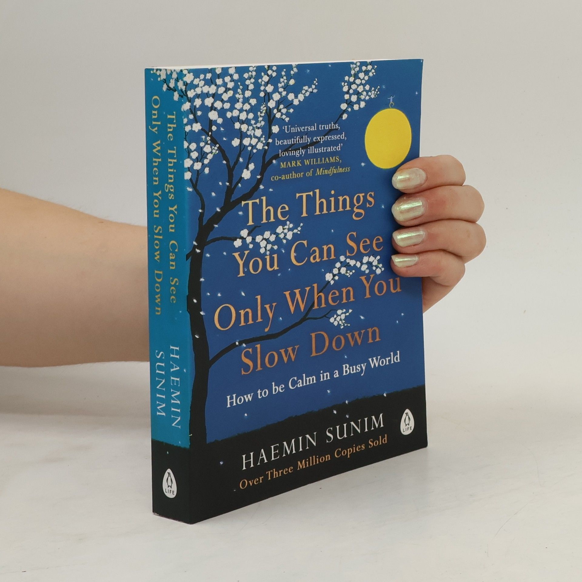Sunim Haemin The Things You Can See Only When You Slow Down