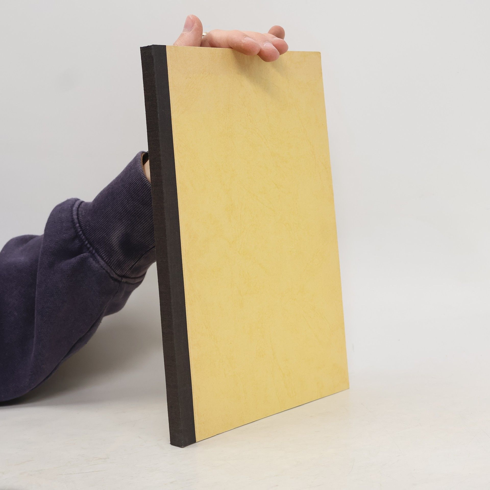 Maximilian Ferd. Gritzner Standes-Erhebungen und Gnaden-Acte Deutscher Landesfürsten