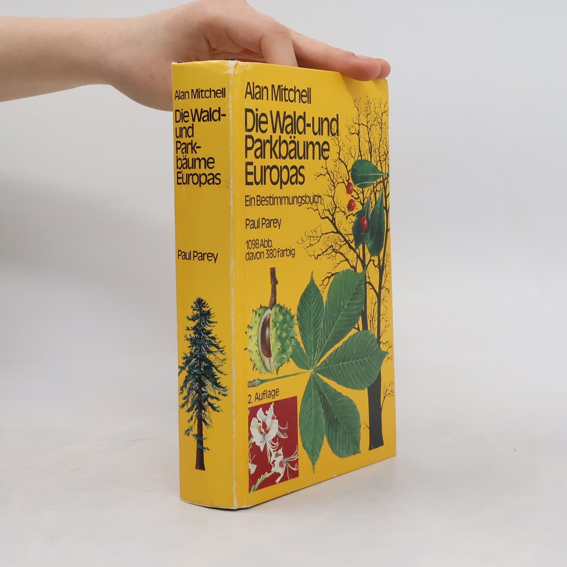 Alan F. Mitchell Die Wald- und Parkbäume Europas