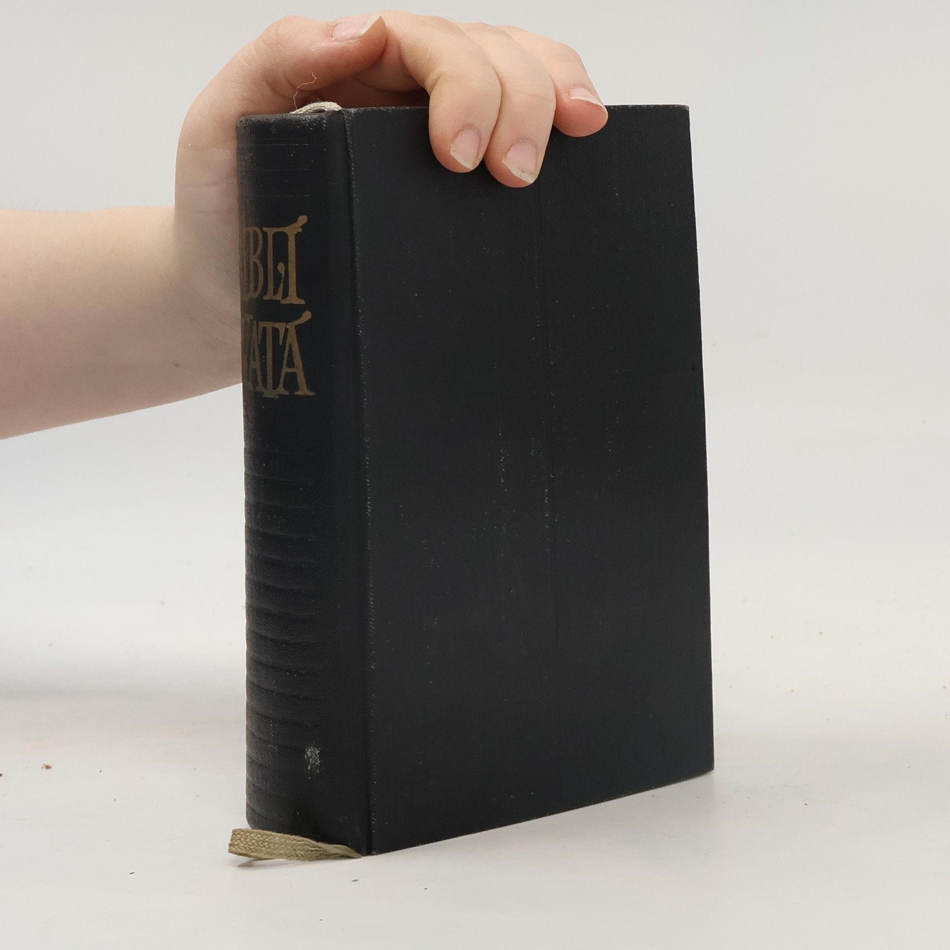 Autorenkollektiv Biblí svatá aneb všecka Svatá písma Starého i Nového Zákona