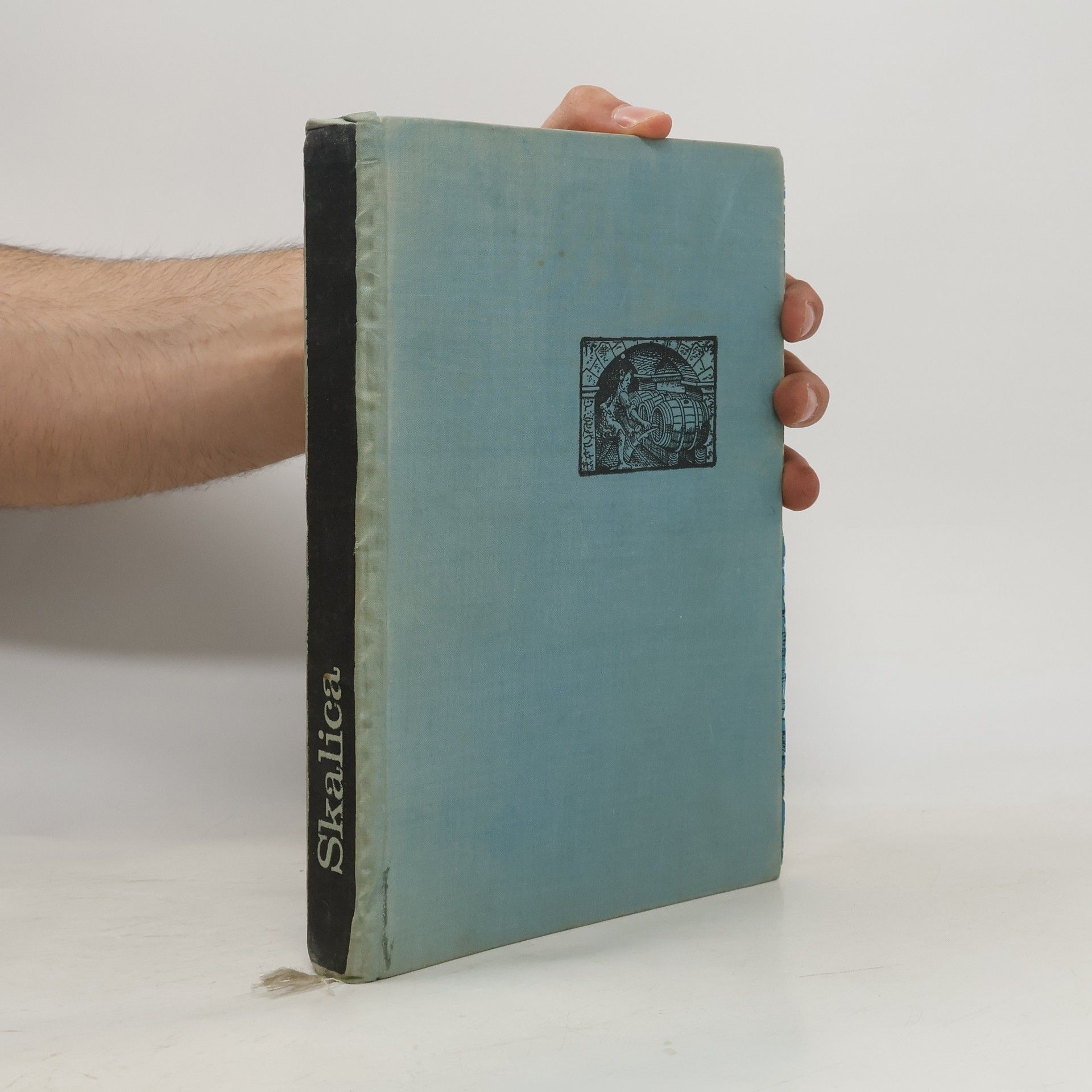 Ján Buchta Skalica v minulosti a dnes