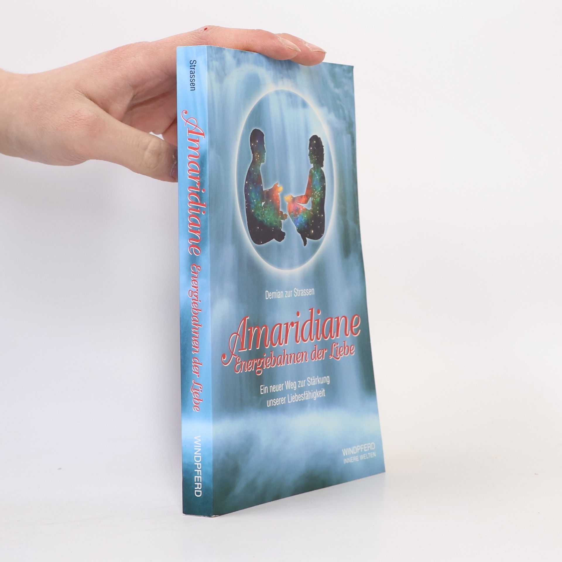 Demian Zur Strassen Amaridiane: Energiebahnen der Liebe
