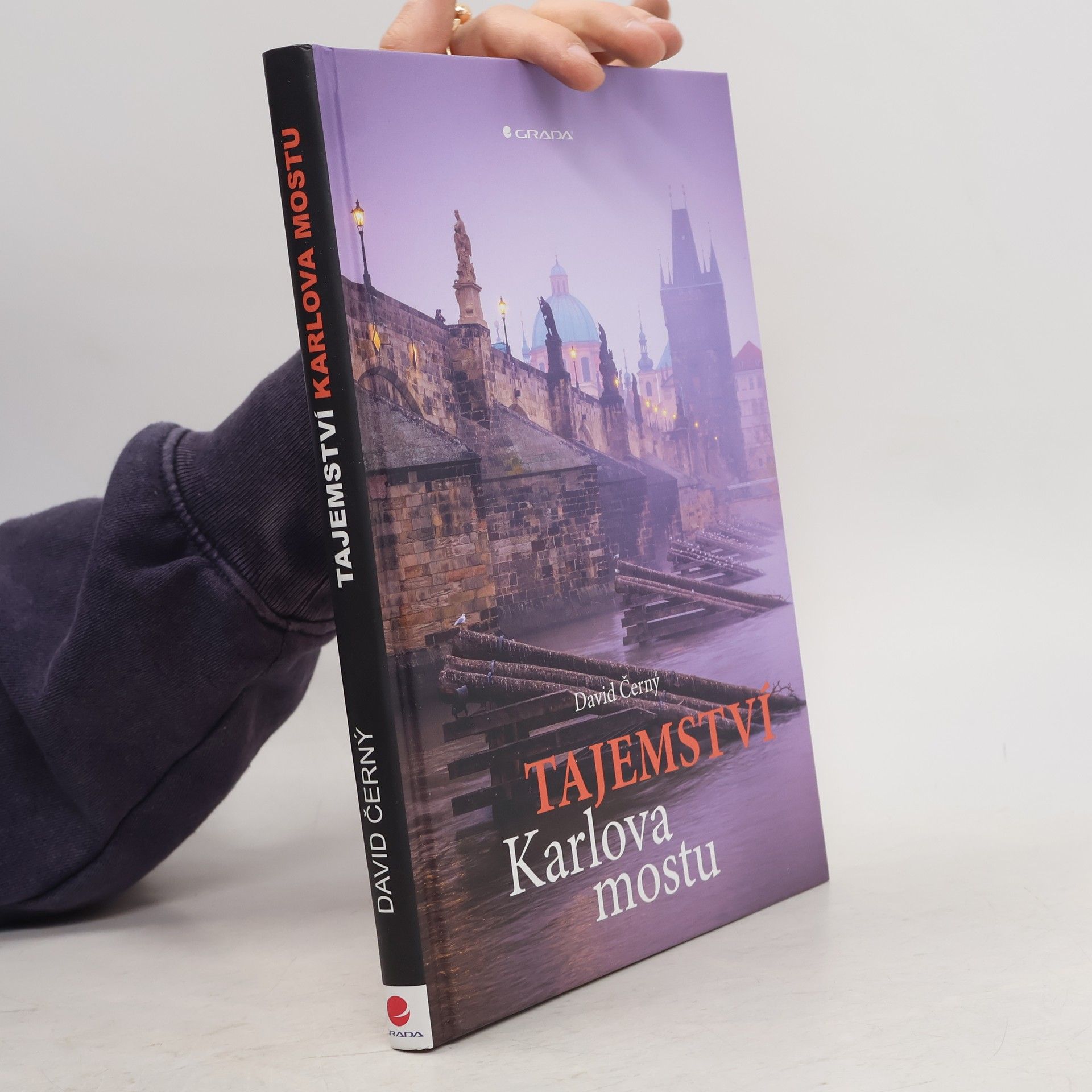 David Černý Tajemství Karlova mostu