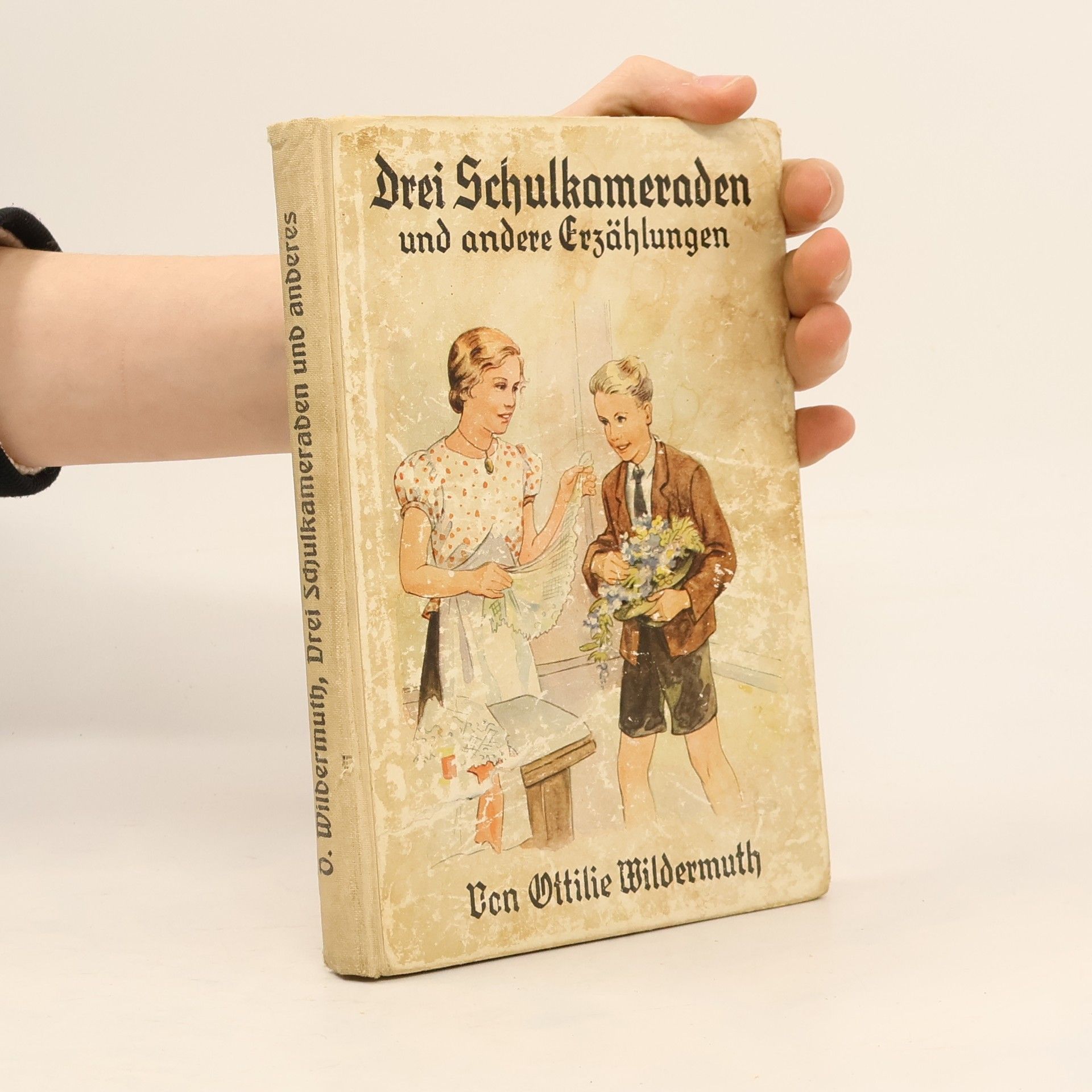 Ottilie Wildermuth Drei Schulkameraden und andere Erzählungen