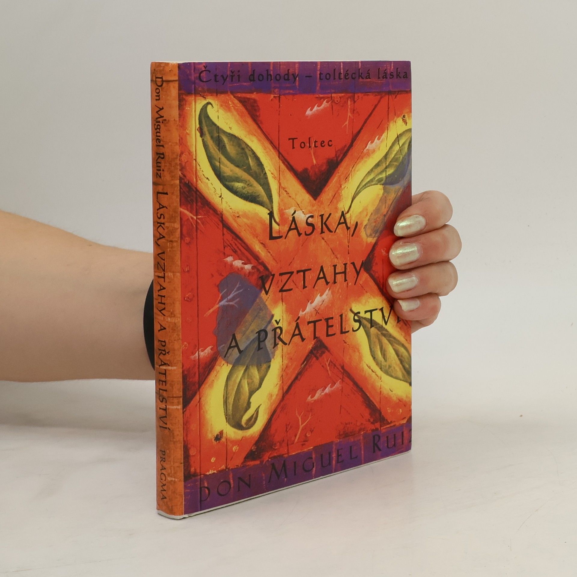 Don Miguel Ruiz Láska, vztahy a přátelství