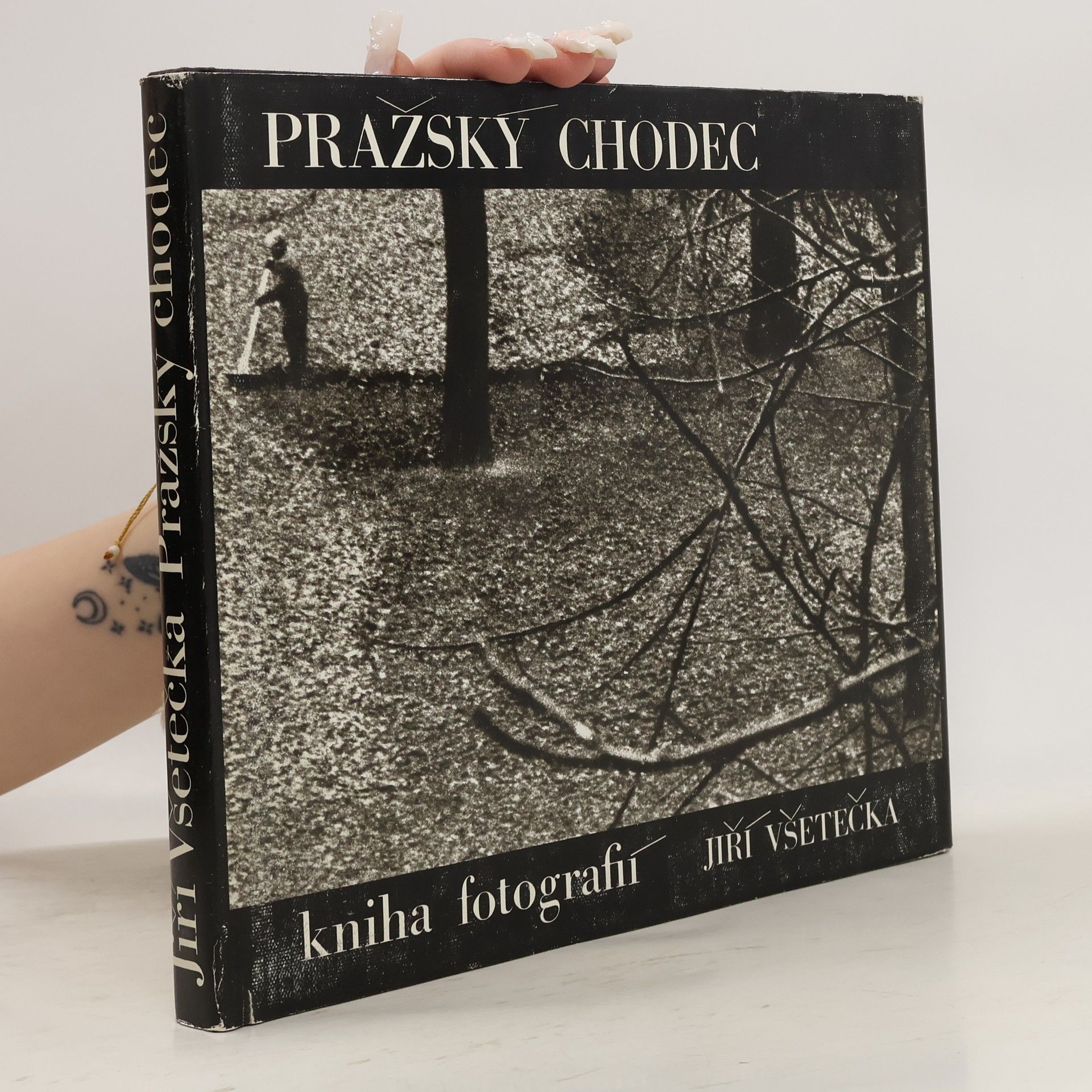 Jiří Všetečka Pražský chodec