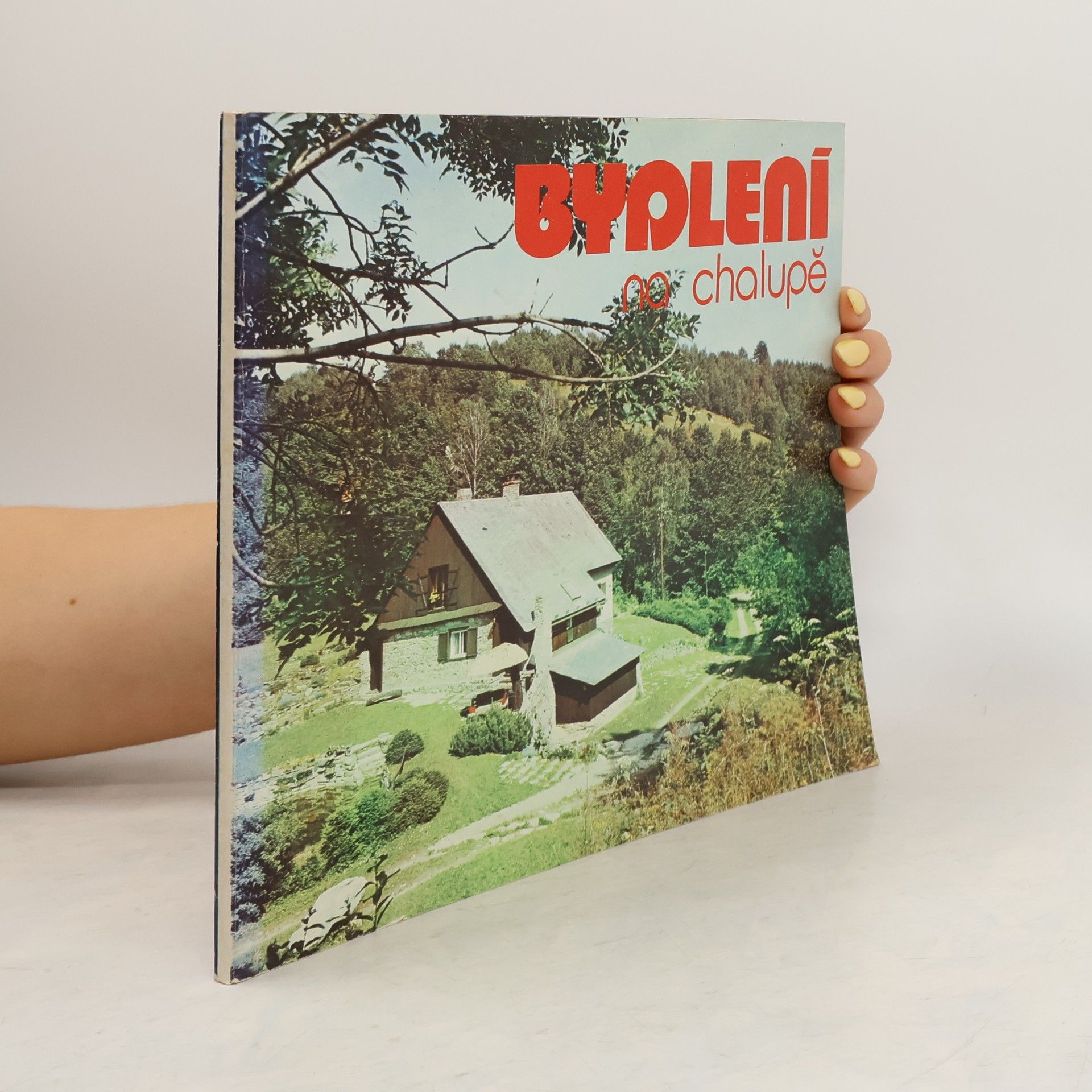 Boris Řípa Bydlení na chalupě