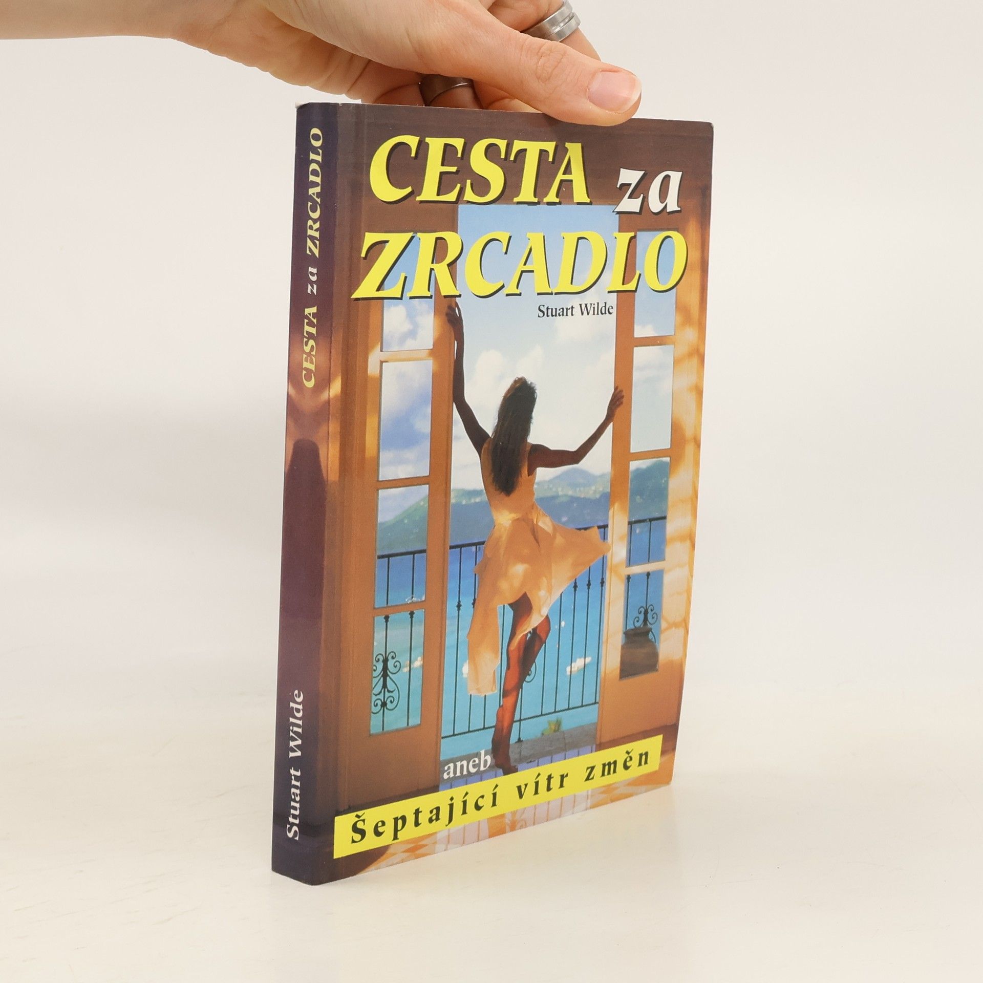 Stuart Wilde Cesta za zrcadlo