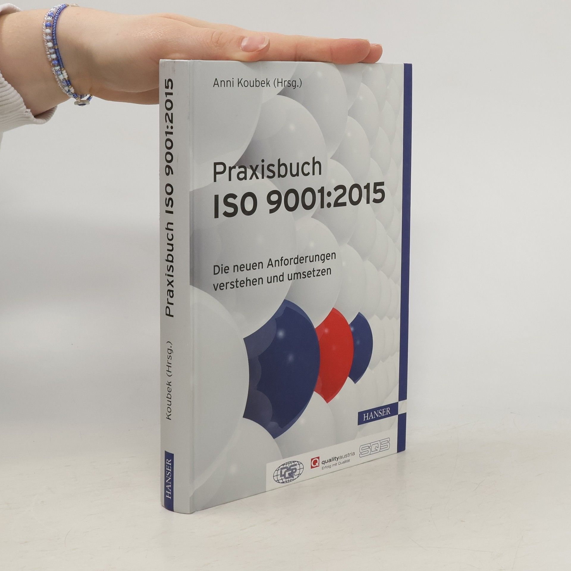 Anni Koubek Praxisbuch ISO 9001:2015