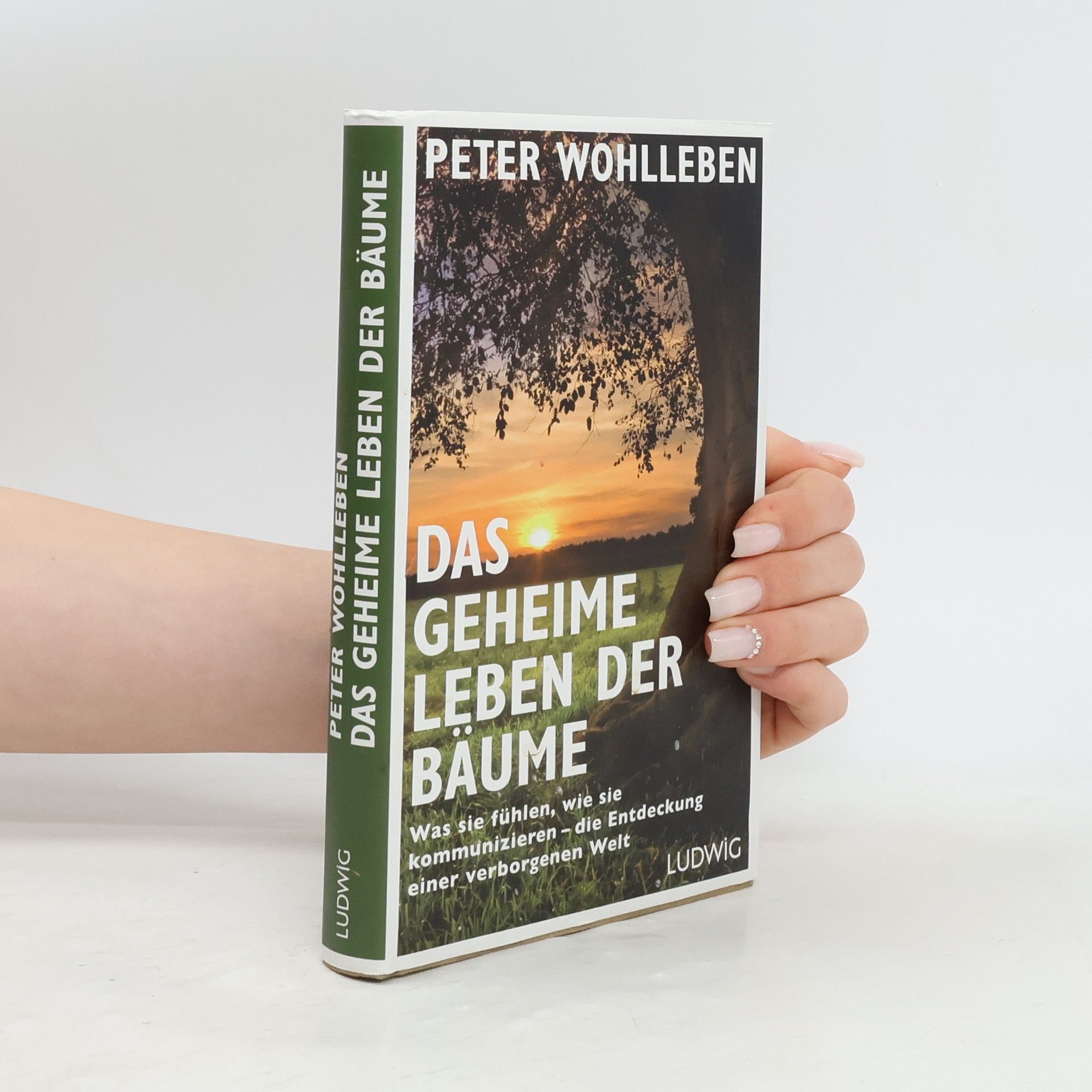 Peter Wohlleben Das geheime Leben der Bäume