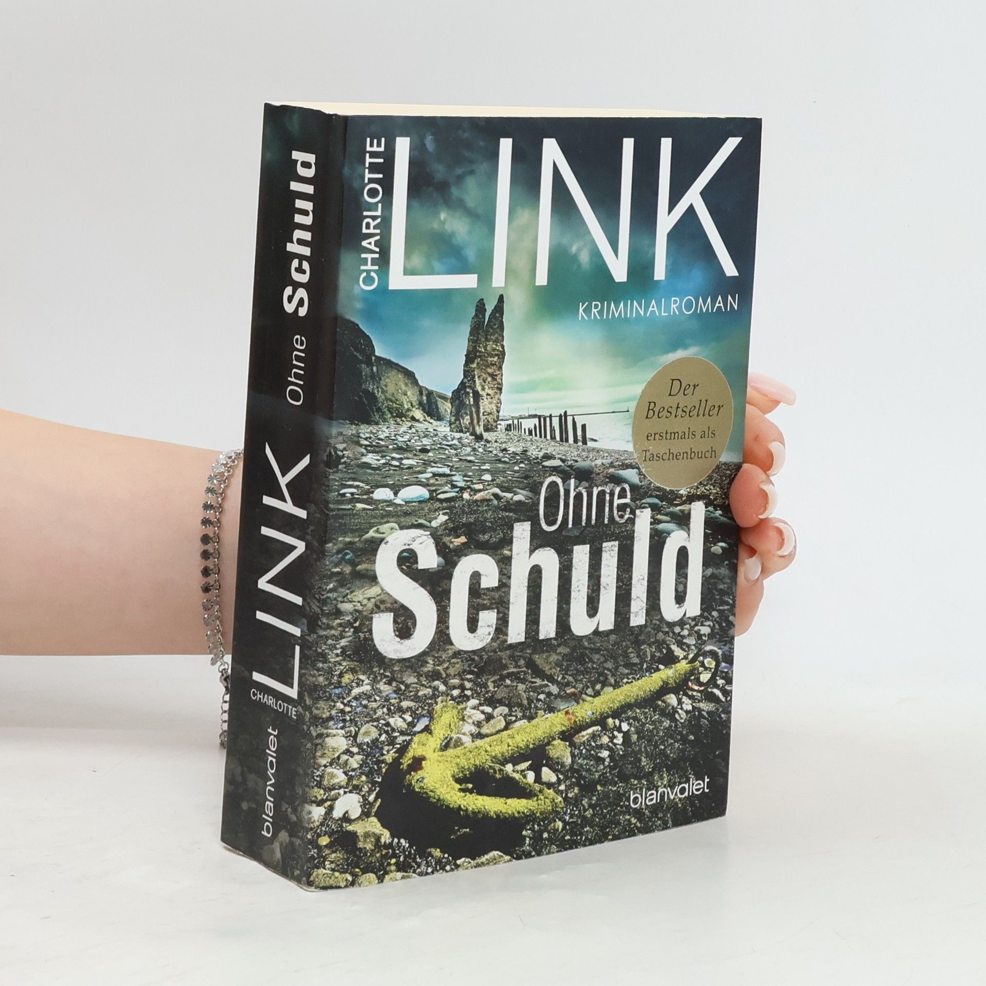 Charlotte Link Ohne Schuld