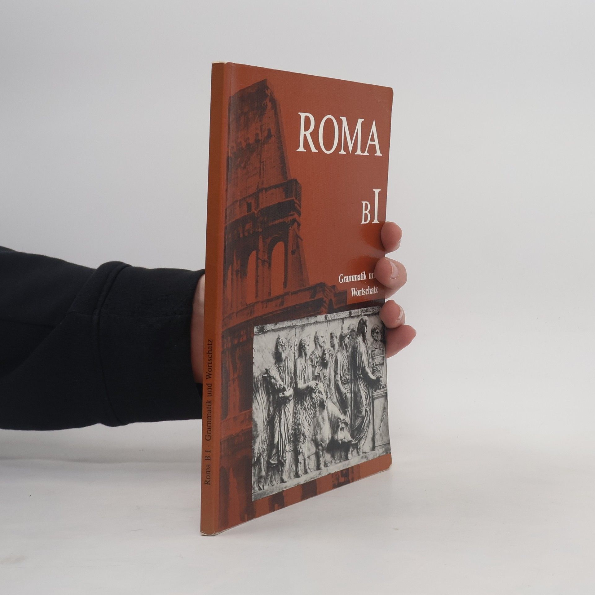 Kolektiv autorů Roma