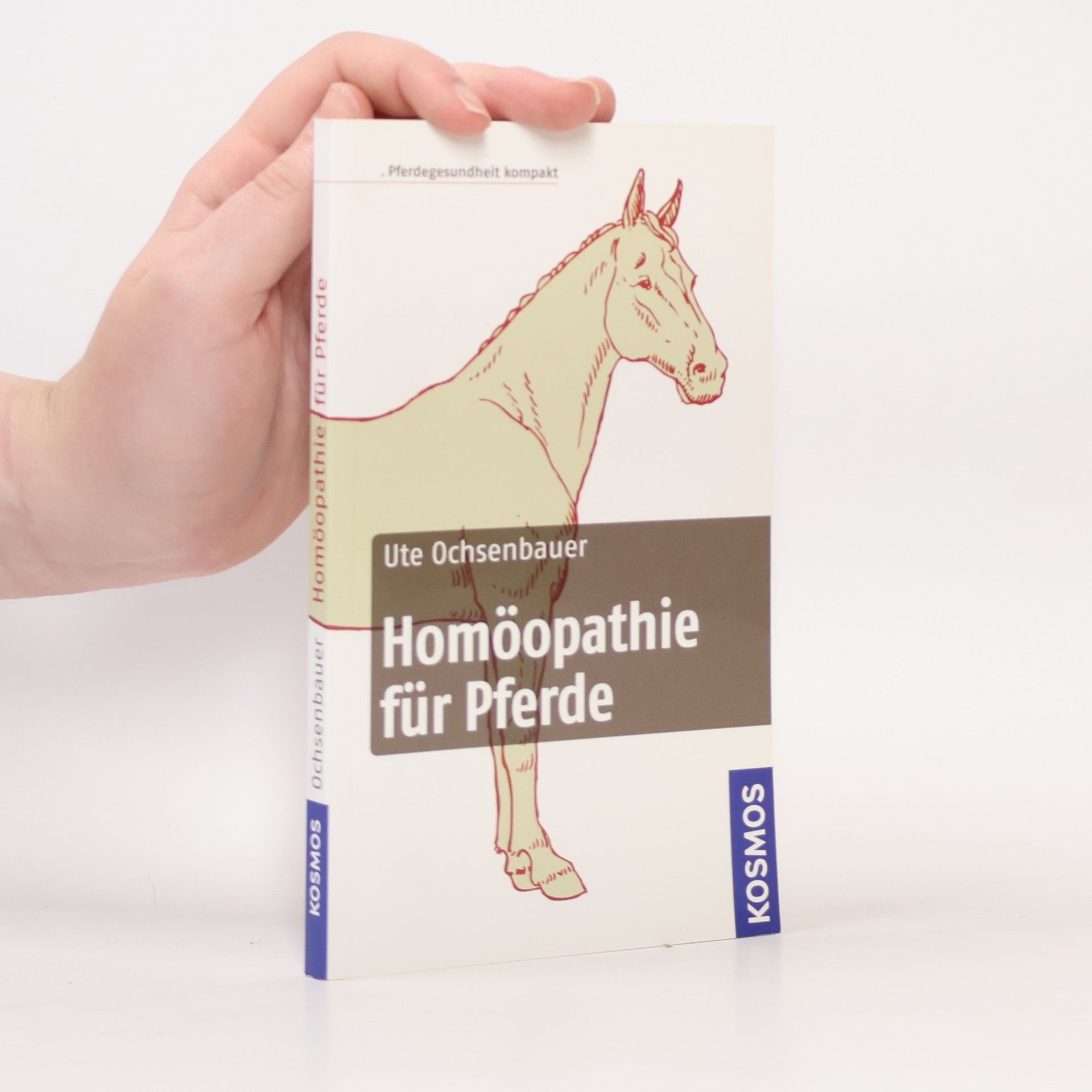 Ute Ochsenbauer Homöopathie für Pferde