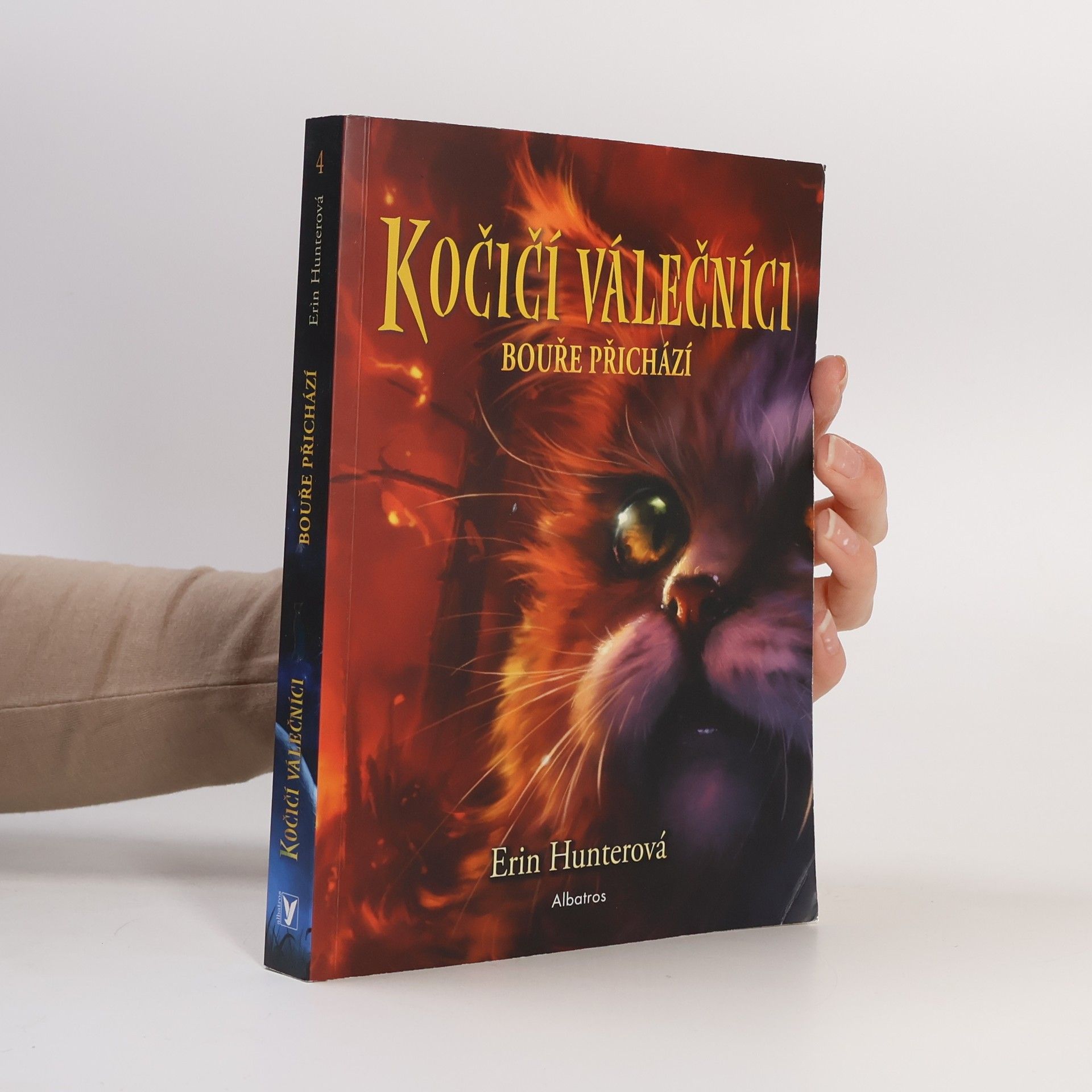 Erin Hunter Kočičí válečníci. Bouře přichází