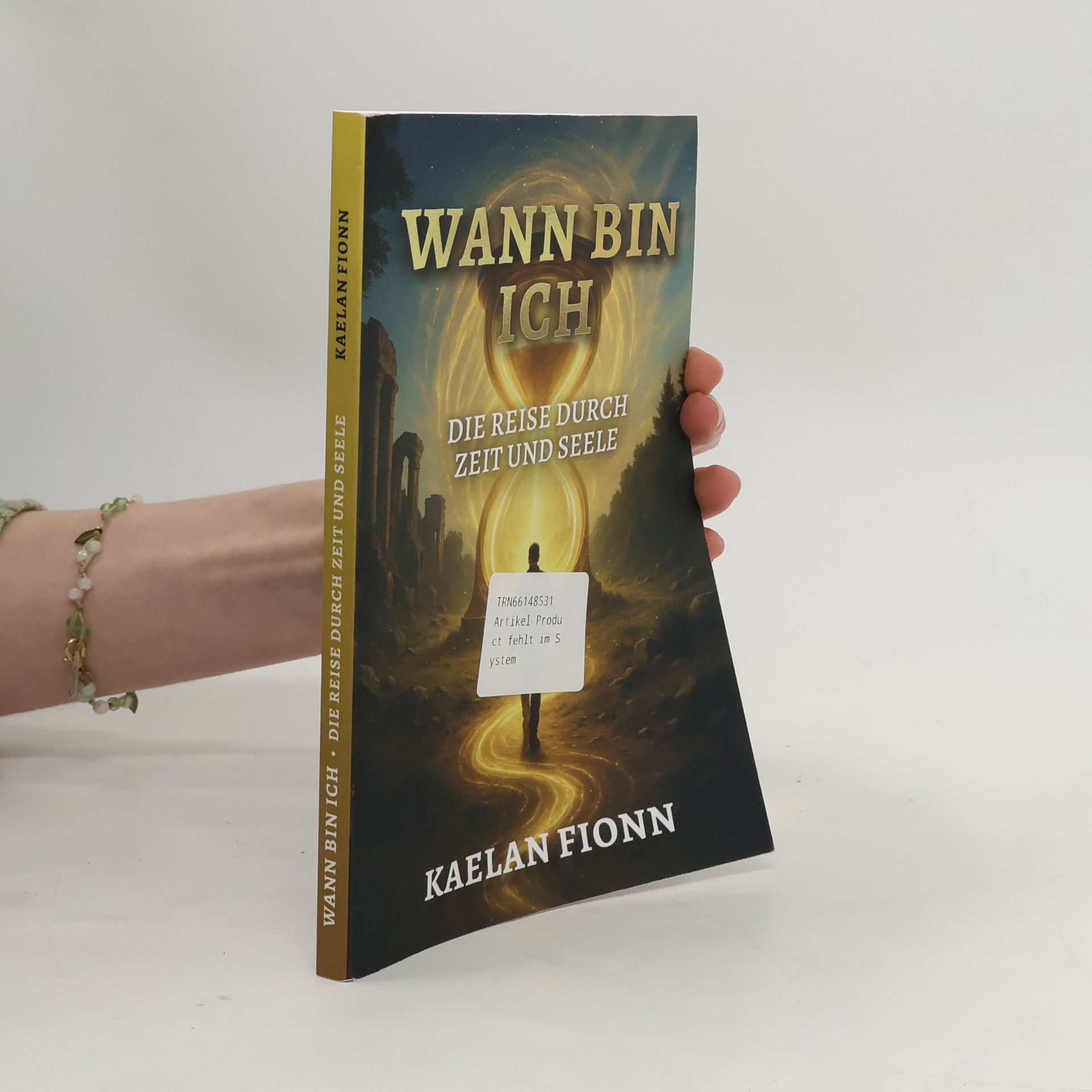 Kaelan Fionn Wann bin ich - Die Reise durch Zeit und Seele