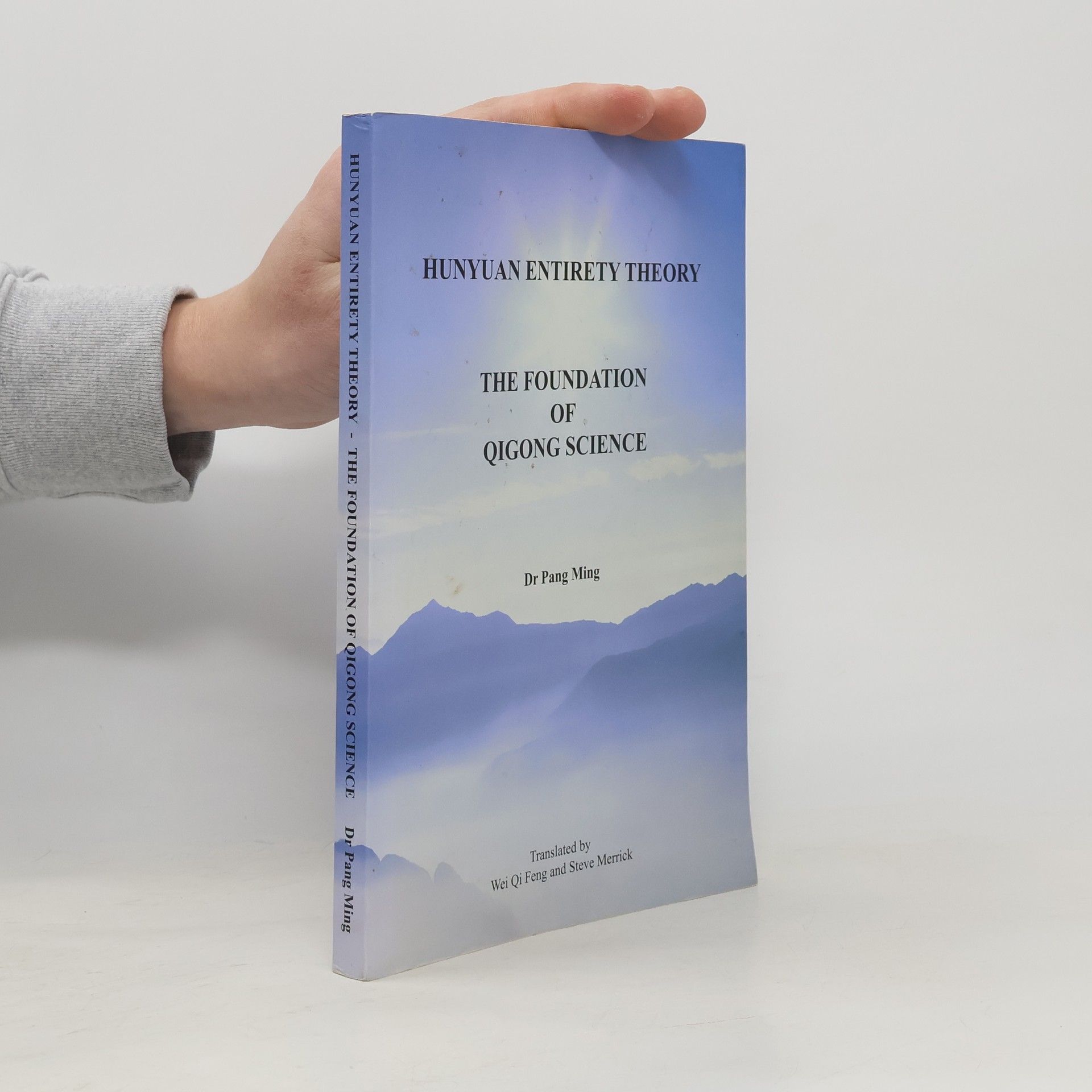 Steve Merrick Hunyuan Entirety Theory