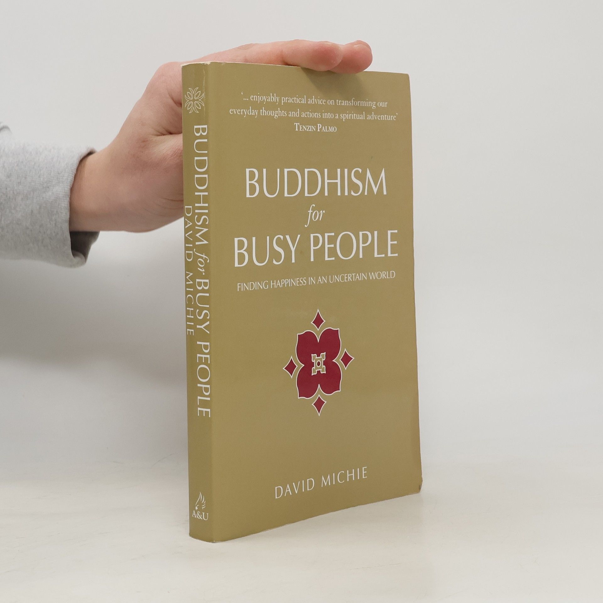 David Michie Buddhism for Busy People