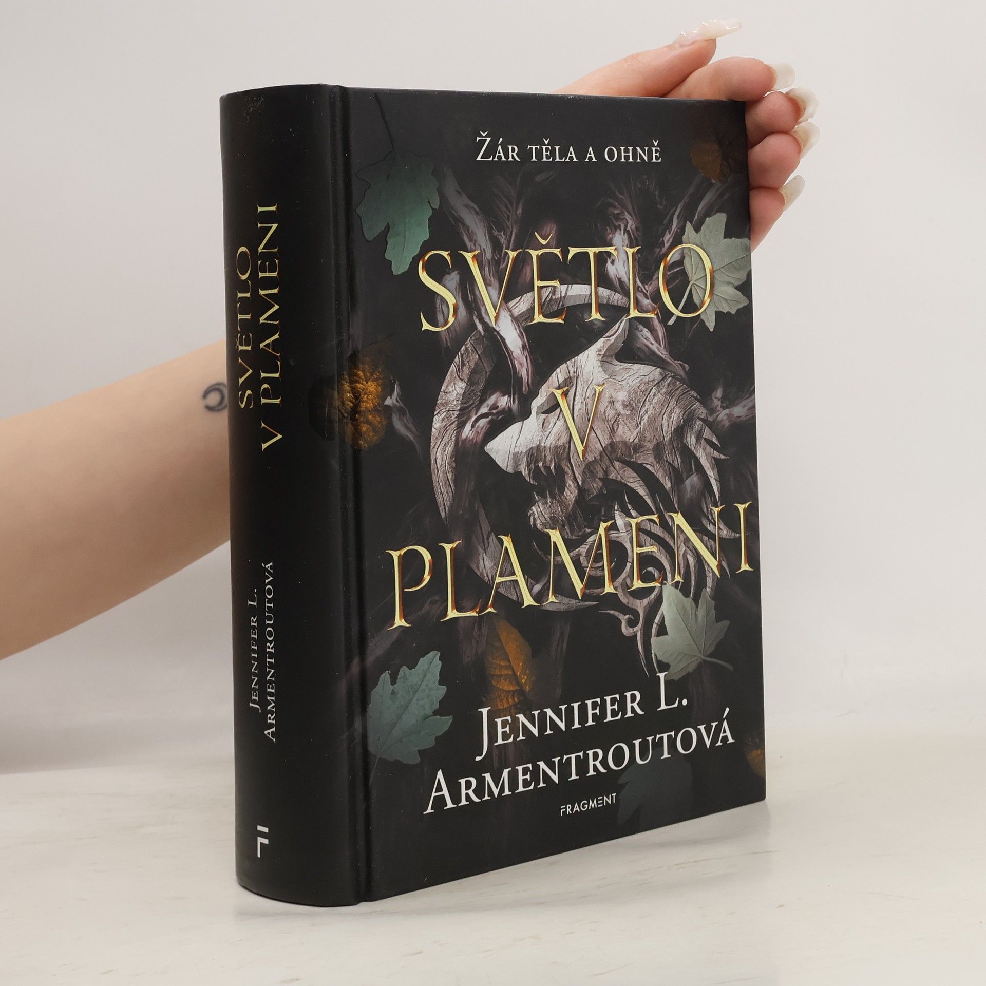 Jennifer L. Armentrout Světlo v plameni