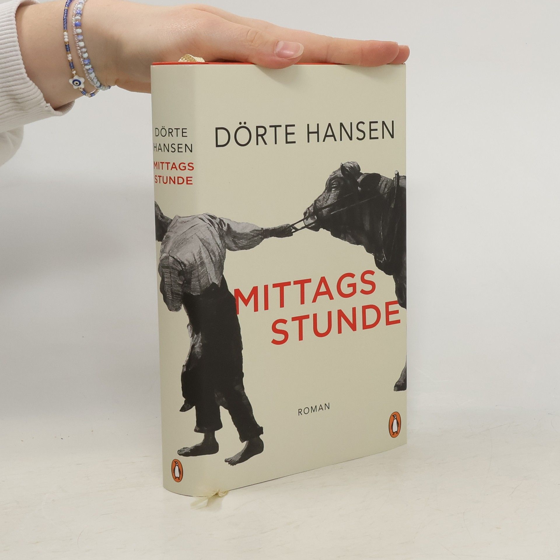 Dörte Hansen Mittagsstunde