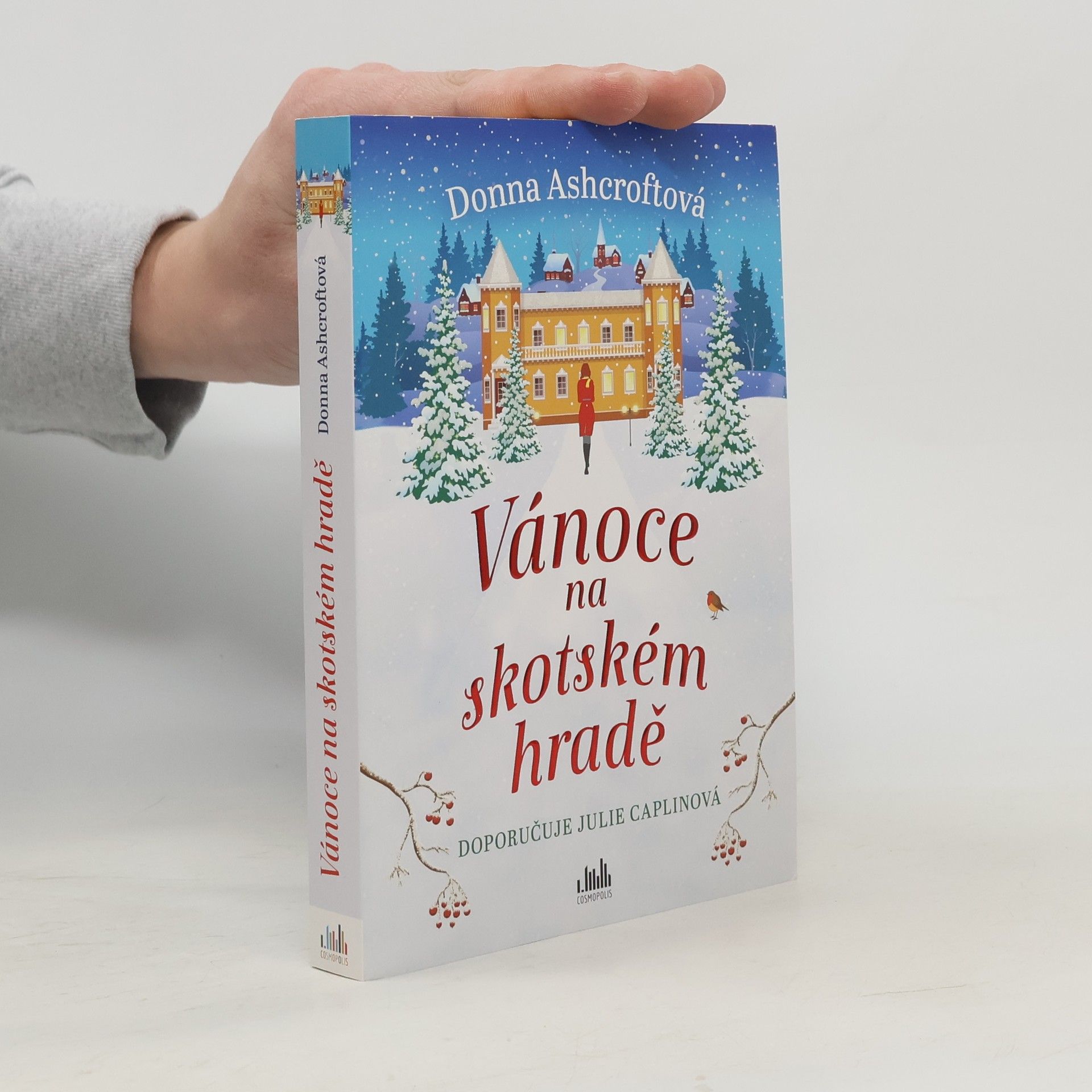 Donna Ashcroft Vánoce na skotském hradě