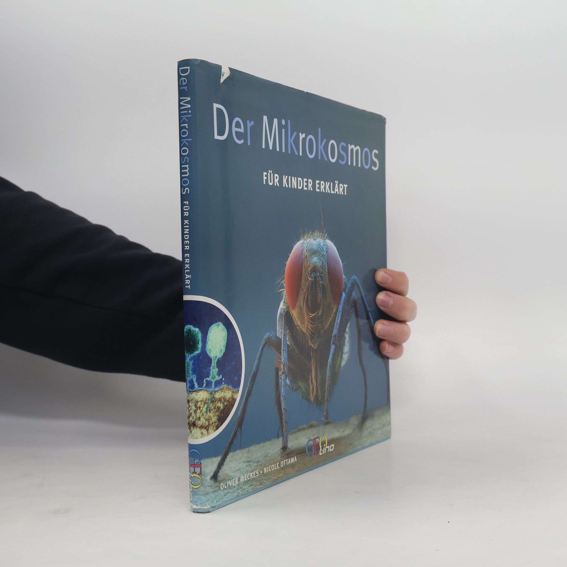 Der Mikrokosmos für Kinder erklärt