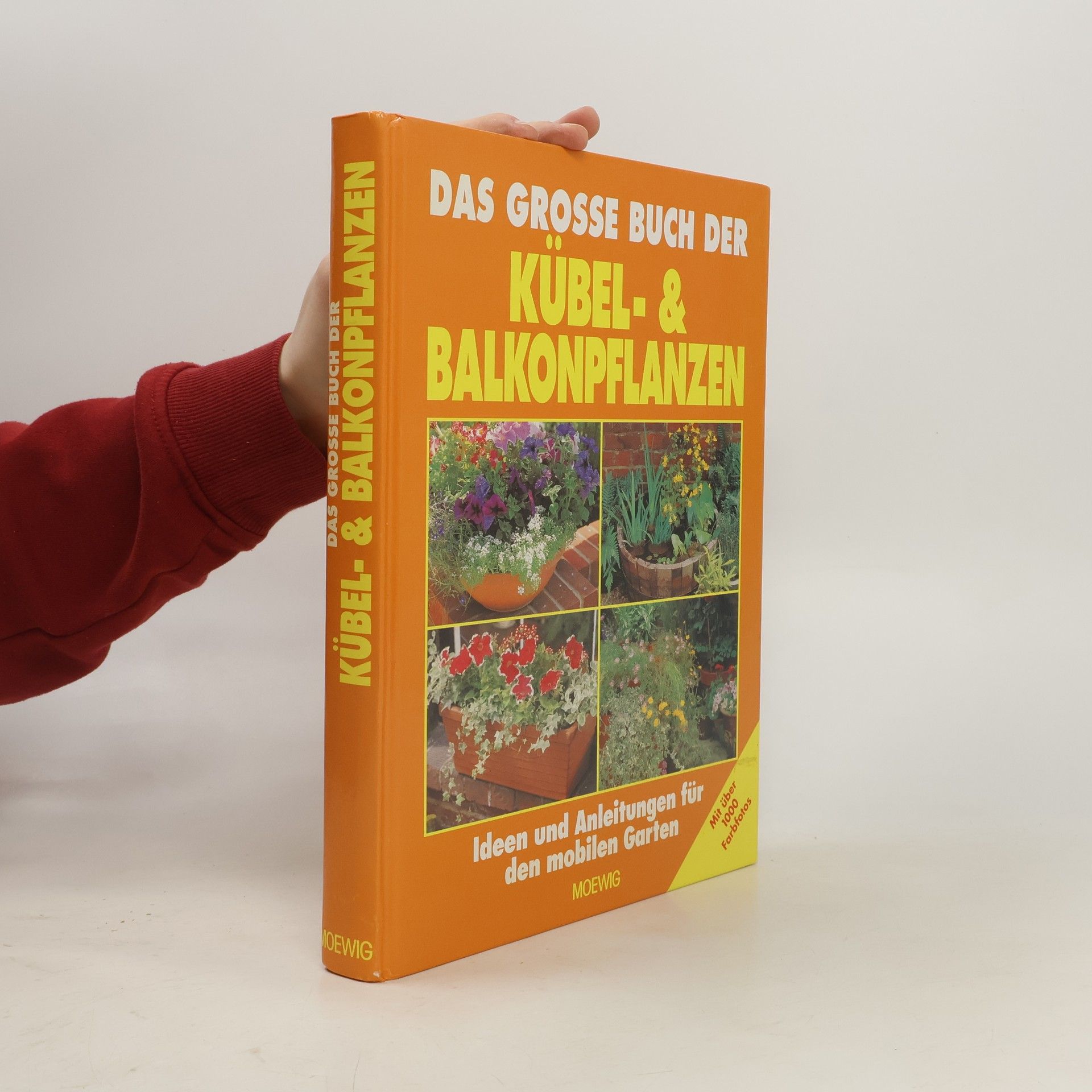 Autorenkollektiv Das große Buch der Kübel- und Balkonpflanzen