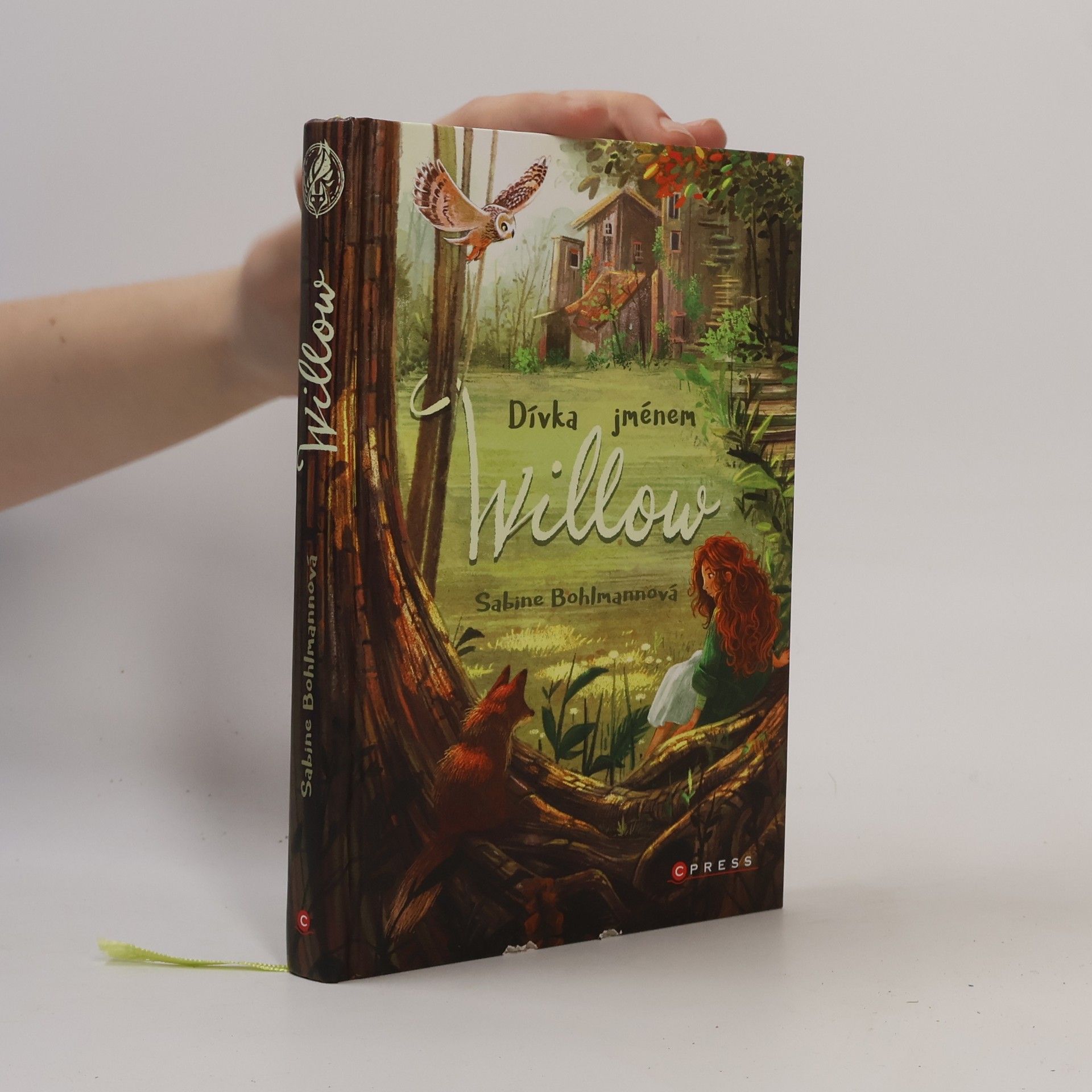 Sabine Bohlmann Dívka jménem Willow