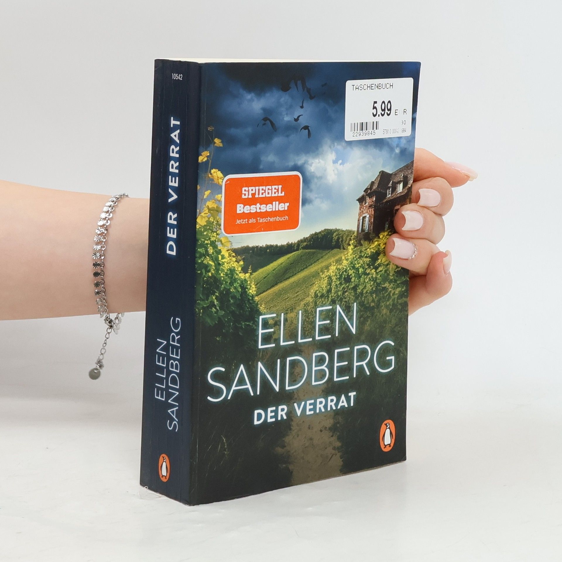 Ellen Sandberg Der Verrat