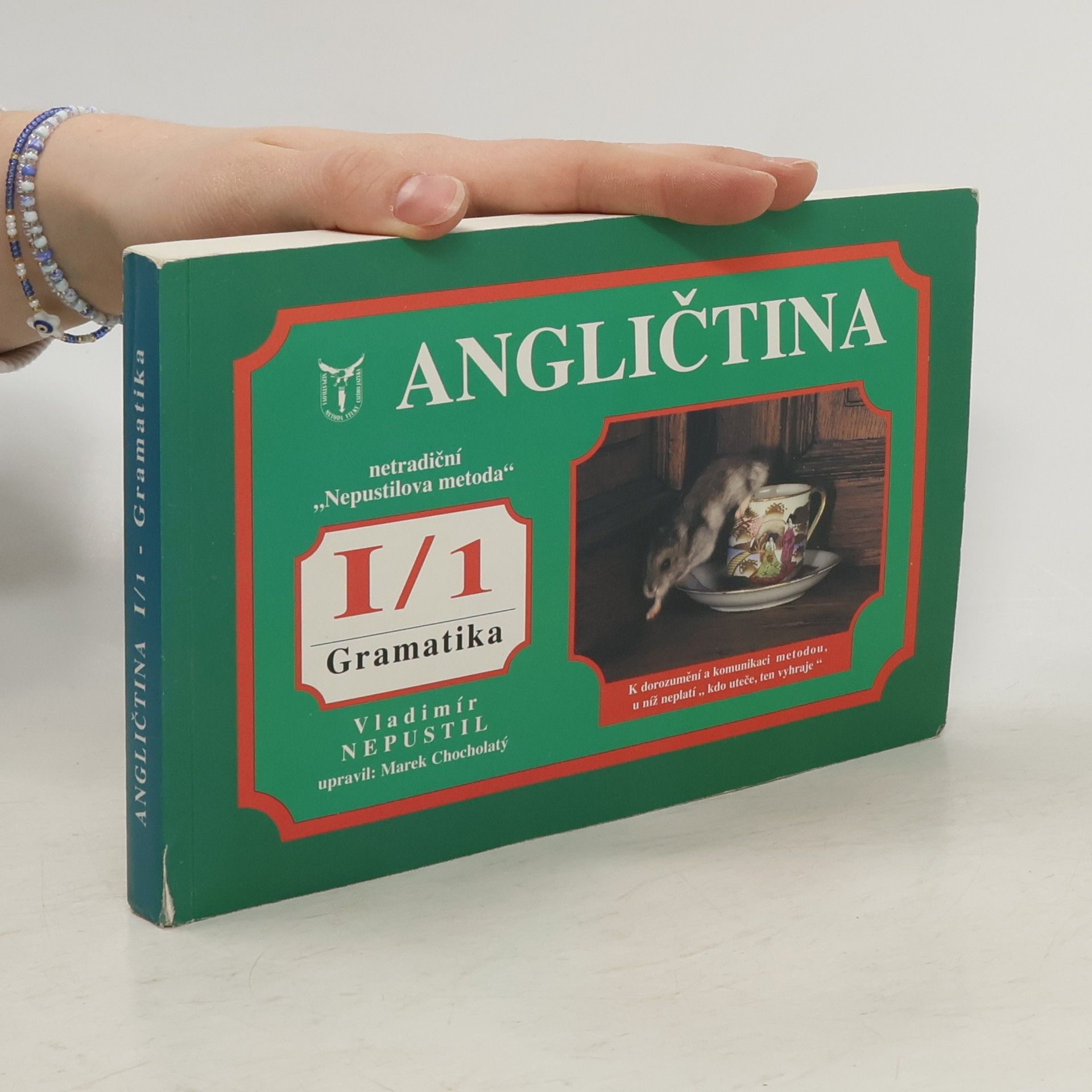 Vladimír Nepustil Angličtina I/1. Gramatika