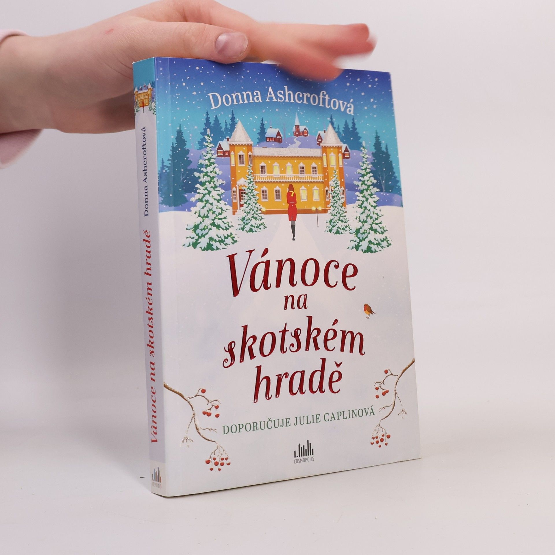 Donna Ashcroft Vánoce na skotském hradě