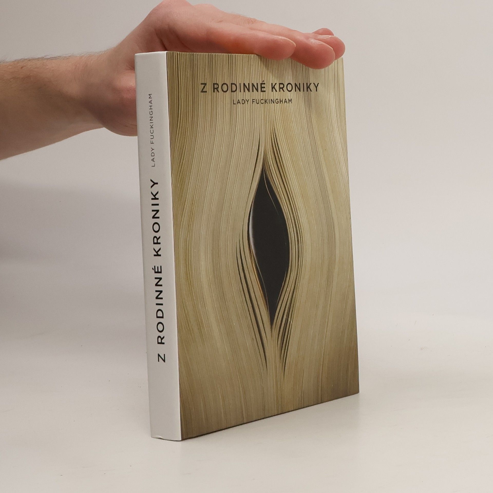 Kolektív autorov Z rodinné kroniky Lady Fuckingham